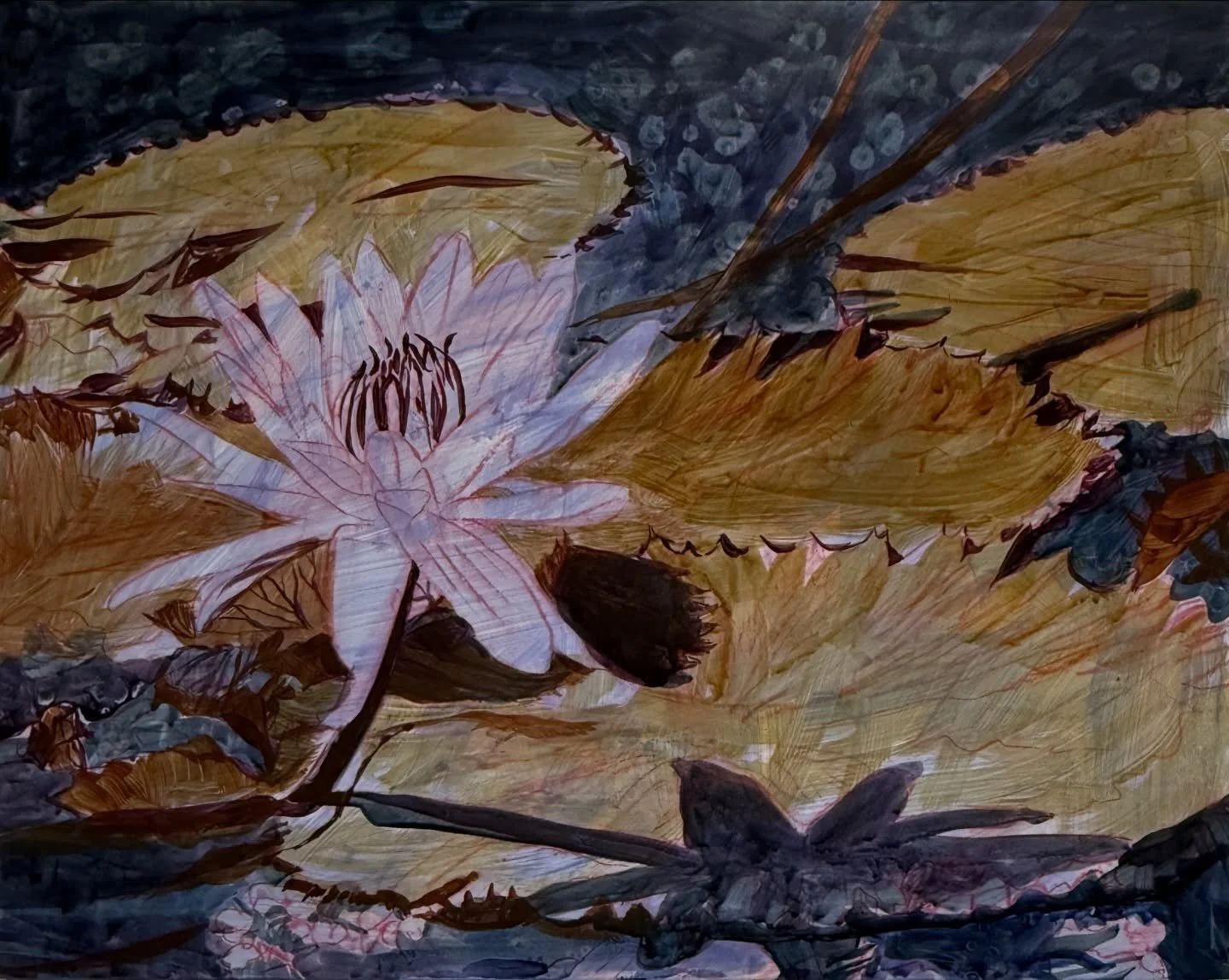 There&rsquo;s something so peaceful about sitting by a pond with water lilies in it. I recently visited @naplesbotanical gardens and found many beautiful plants there. My favorite are the lilies. #waterplants #waterlilies #pondlife #peacefulhome #vib