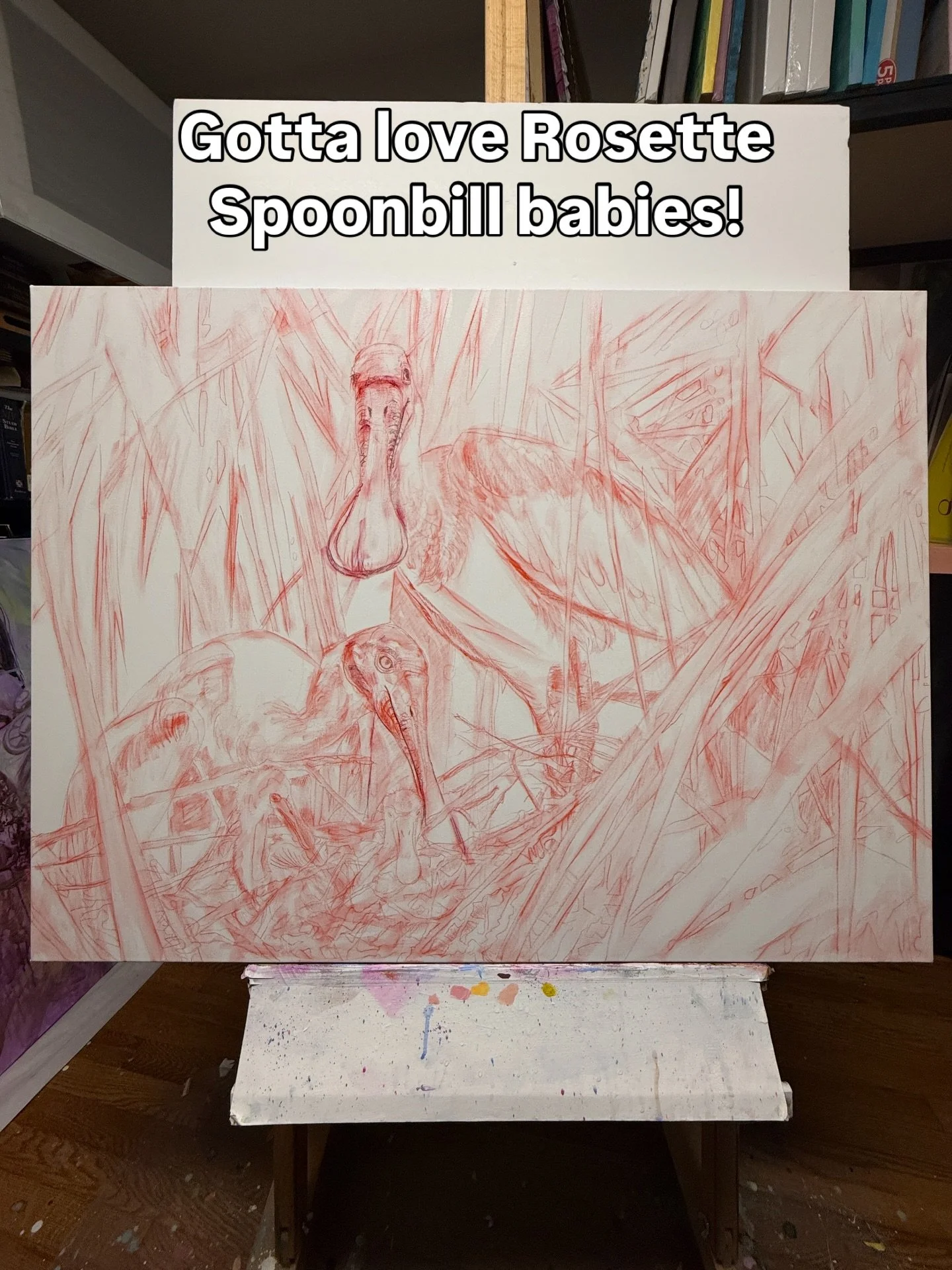 The title of this Spoonbill painting came to me as I was drawing it out. This little family was nestled safely in a palm tree. The parents keeping a watchful eye on their fuzzy headed chicks. It immediately hits, &ldquo;Sanctuary&rdquo;, they are in 