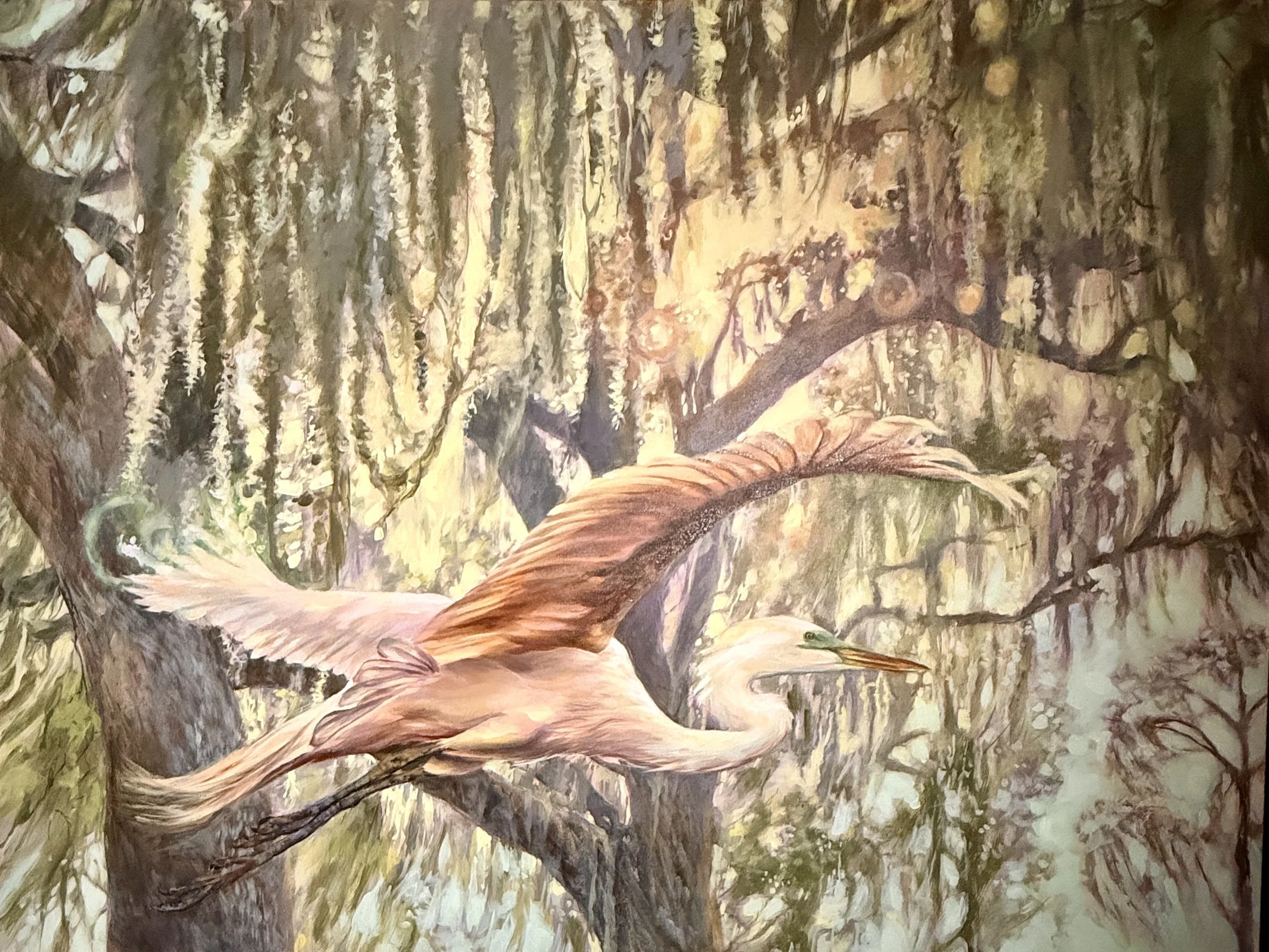 Timeless Flight