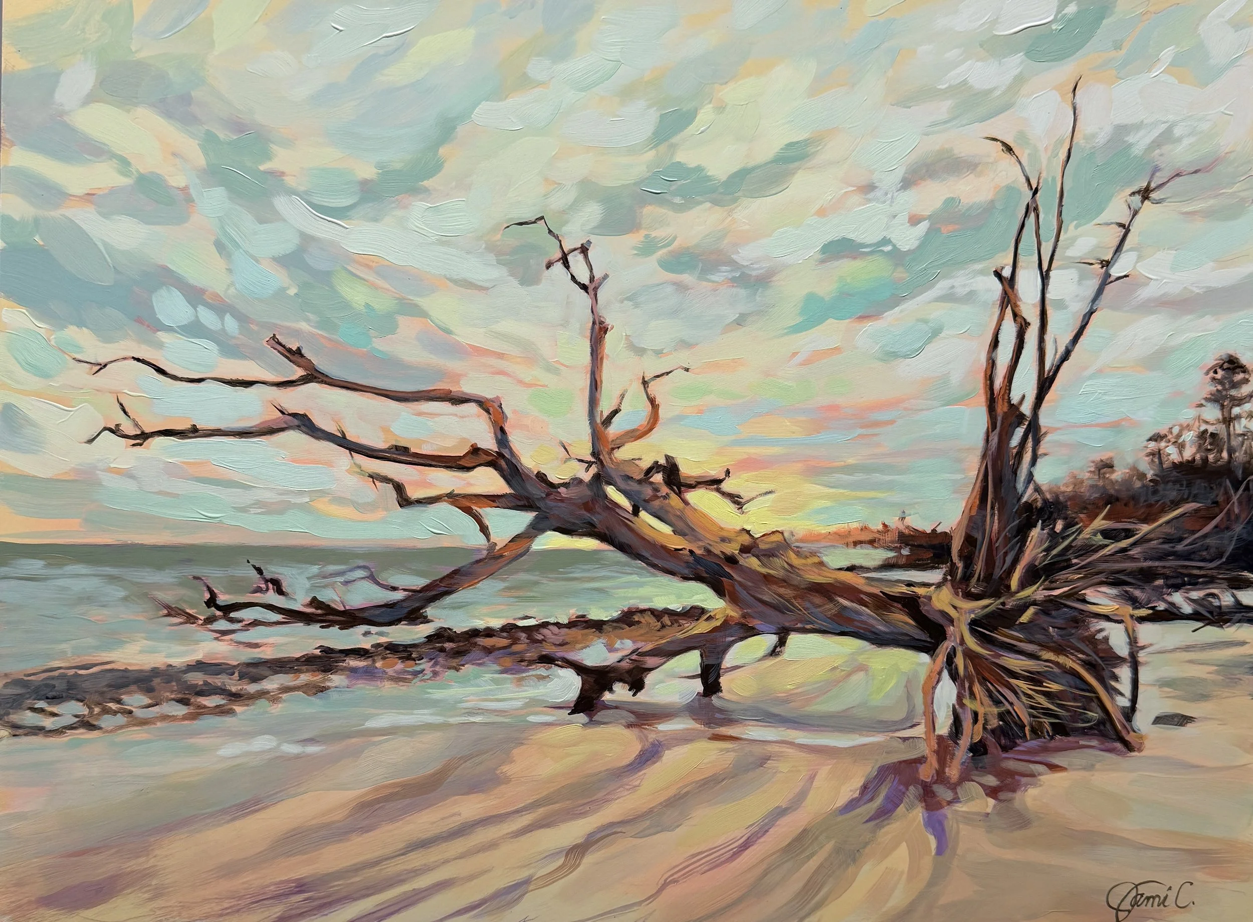 Spring Sunrise