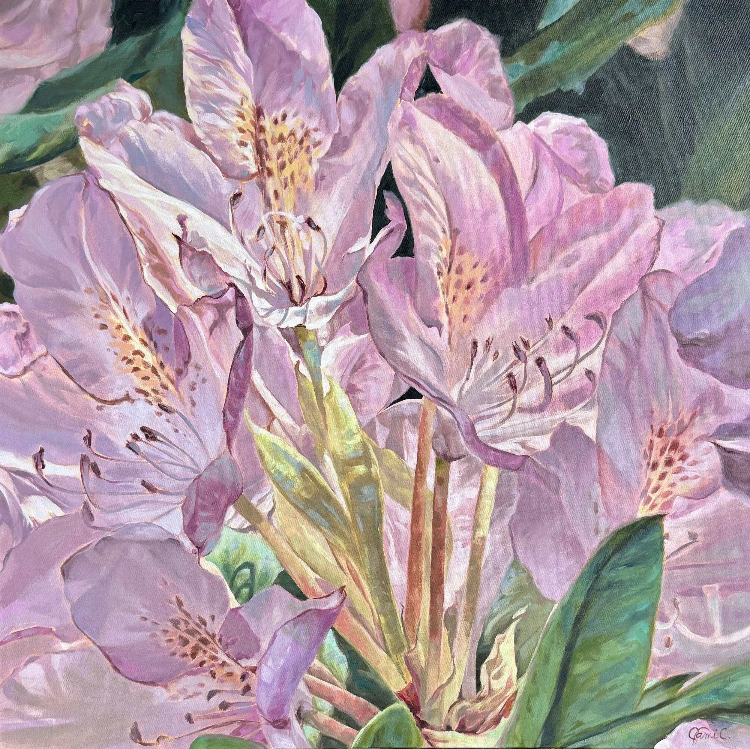 Shades of Blush