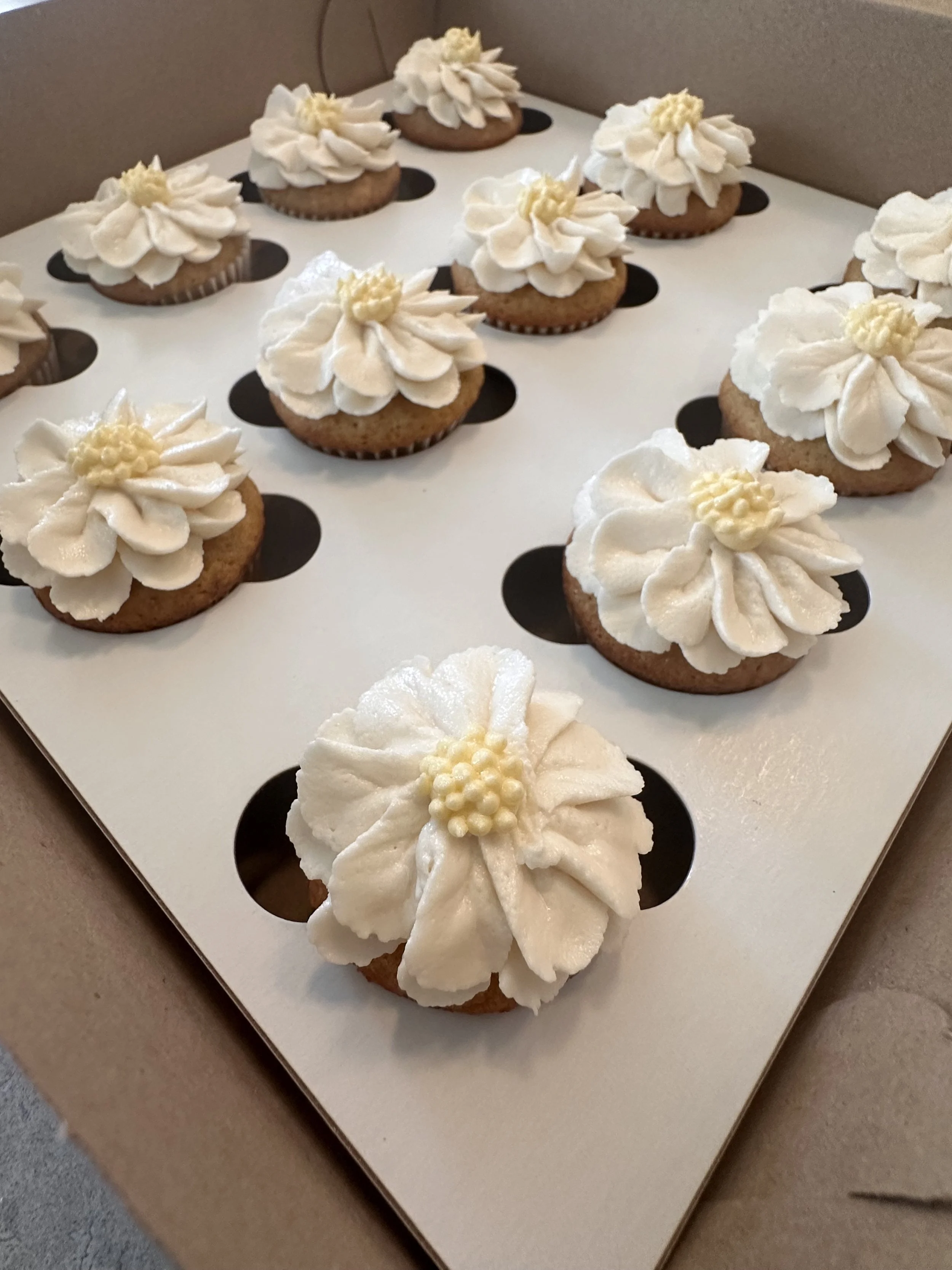 mini-daisy-cupcakes.jpeg