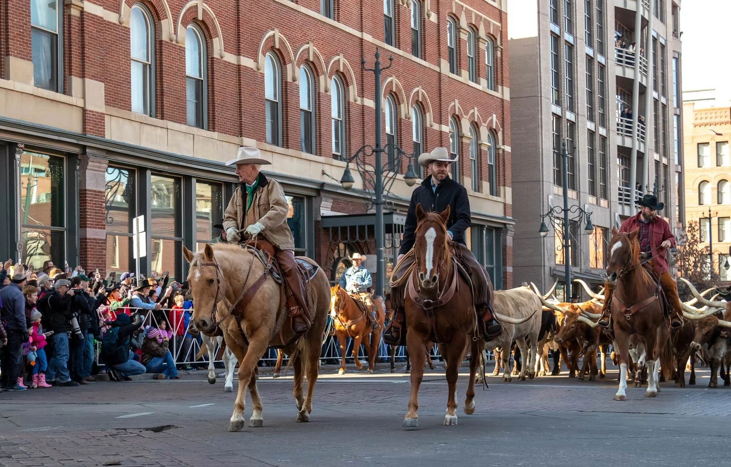 ondrish-and-associates-best-certified-public-accountant-denver-colorado-horses