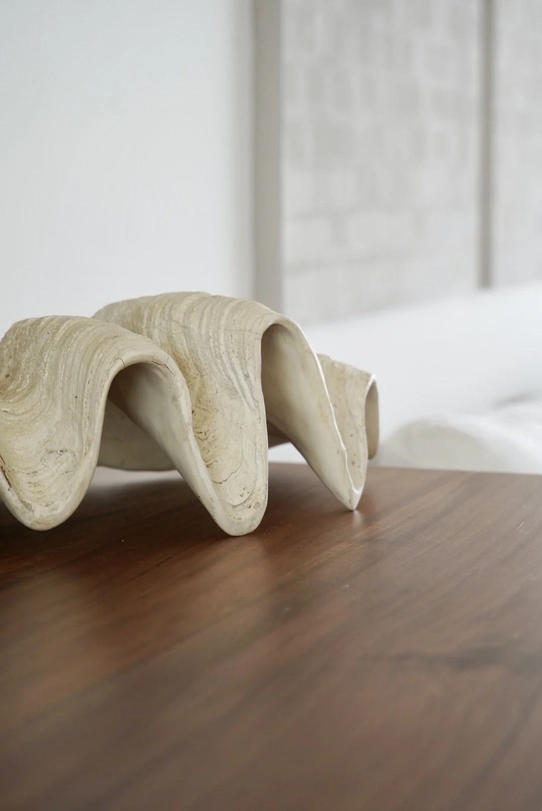 Foto 10-07-24, 12 42 54 p.m..jpg