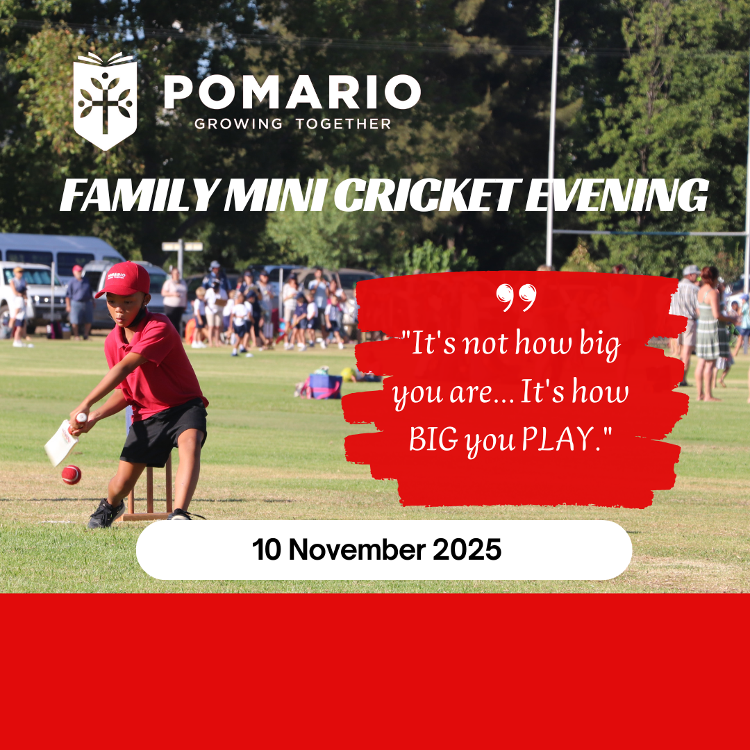 Pomario family Mini-cricket evening