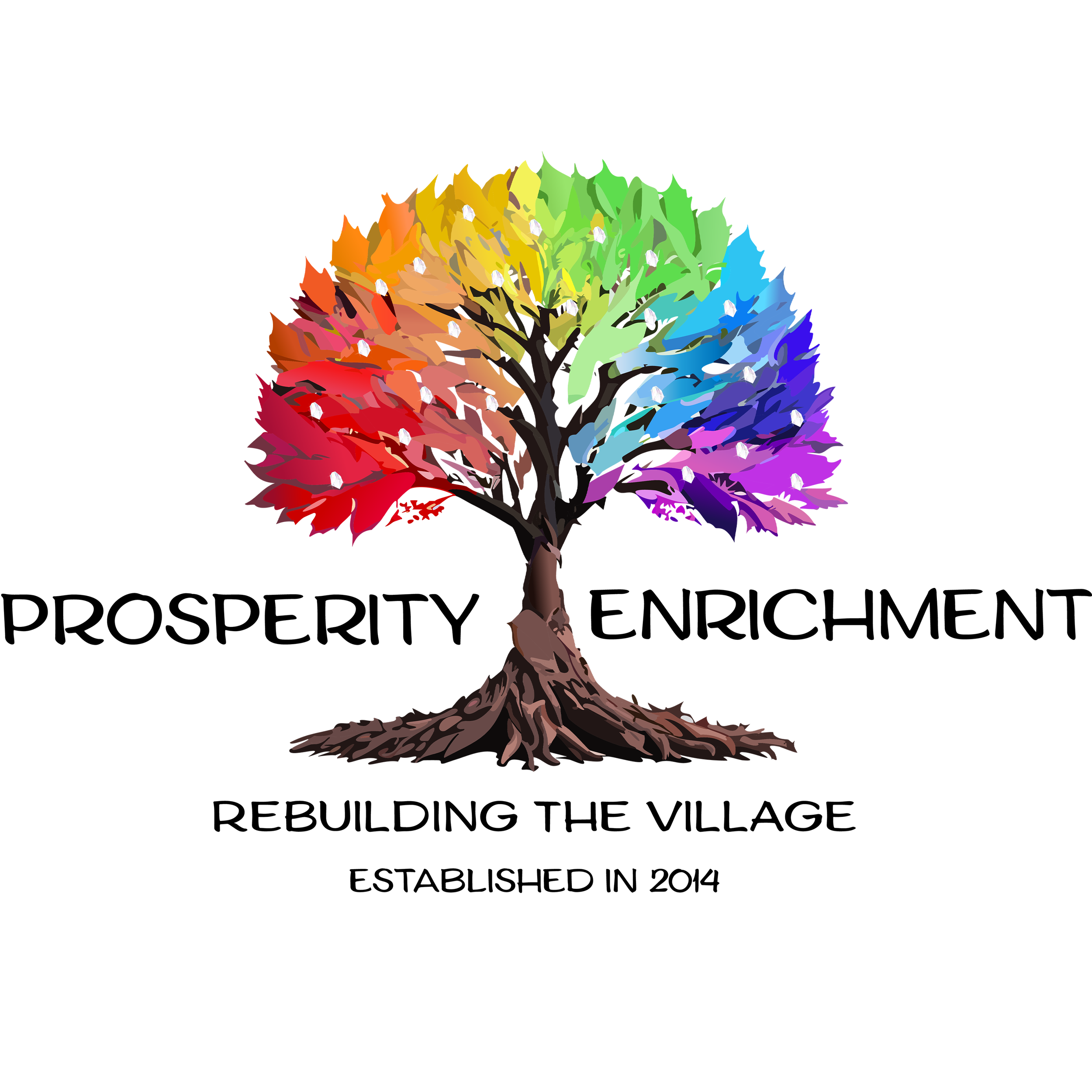 Prosperity Enrichment Logo 1.png