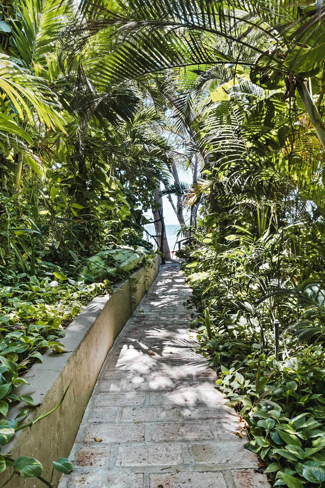 path to beach.jpg