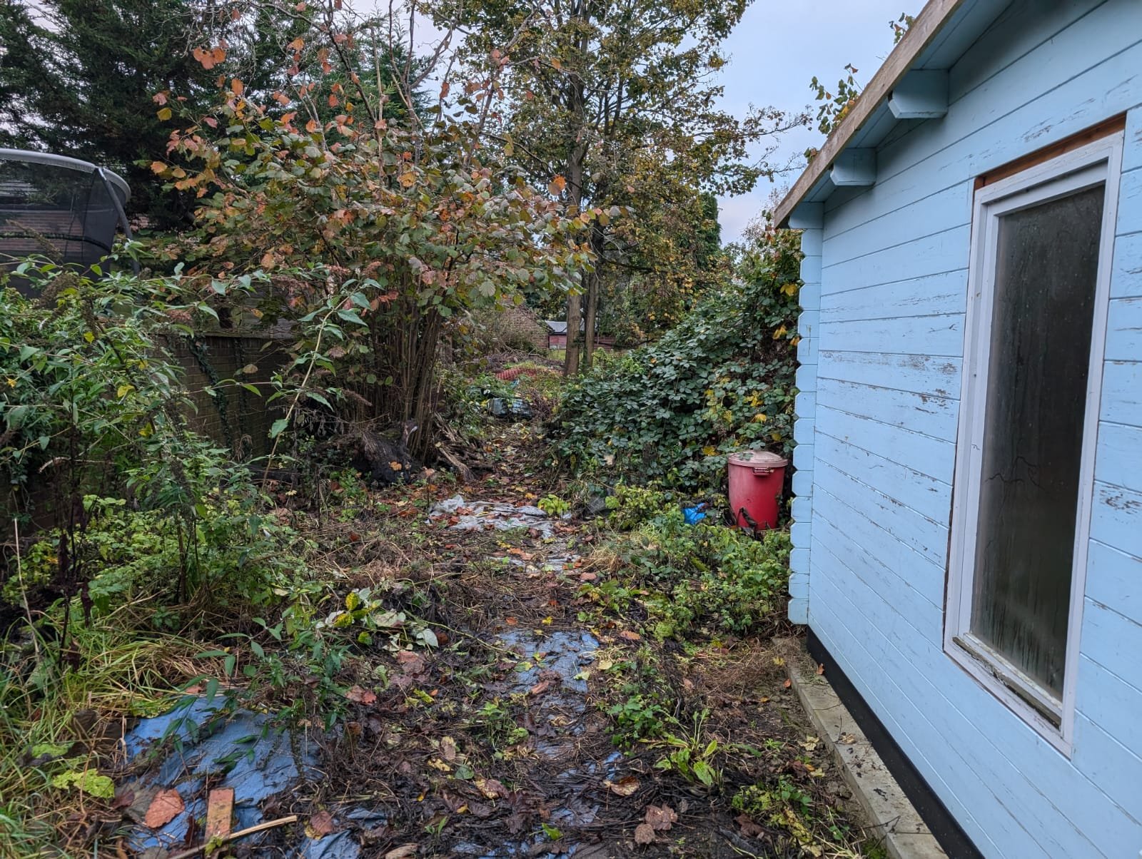 Here’s where we began: an overgrown, tangled mess that had taken over the entire top half of the garden. Wild growth, debris, and weeds had made this area completely unusable, but we saw the potential hiding underneath.