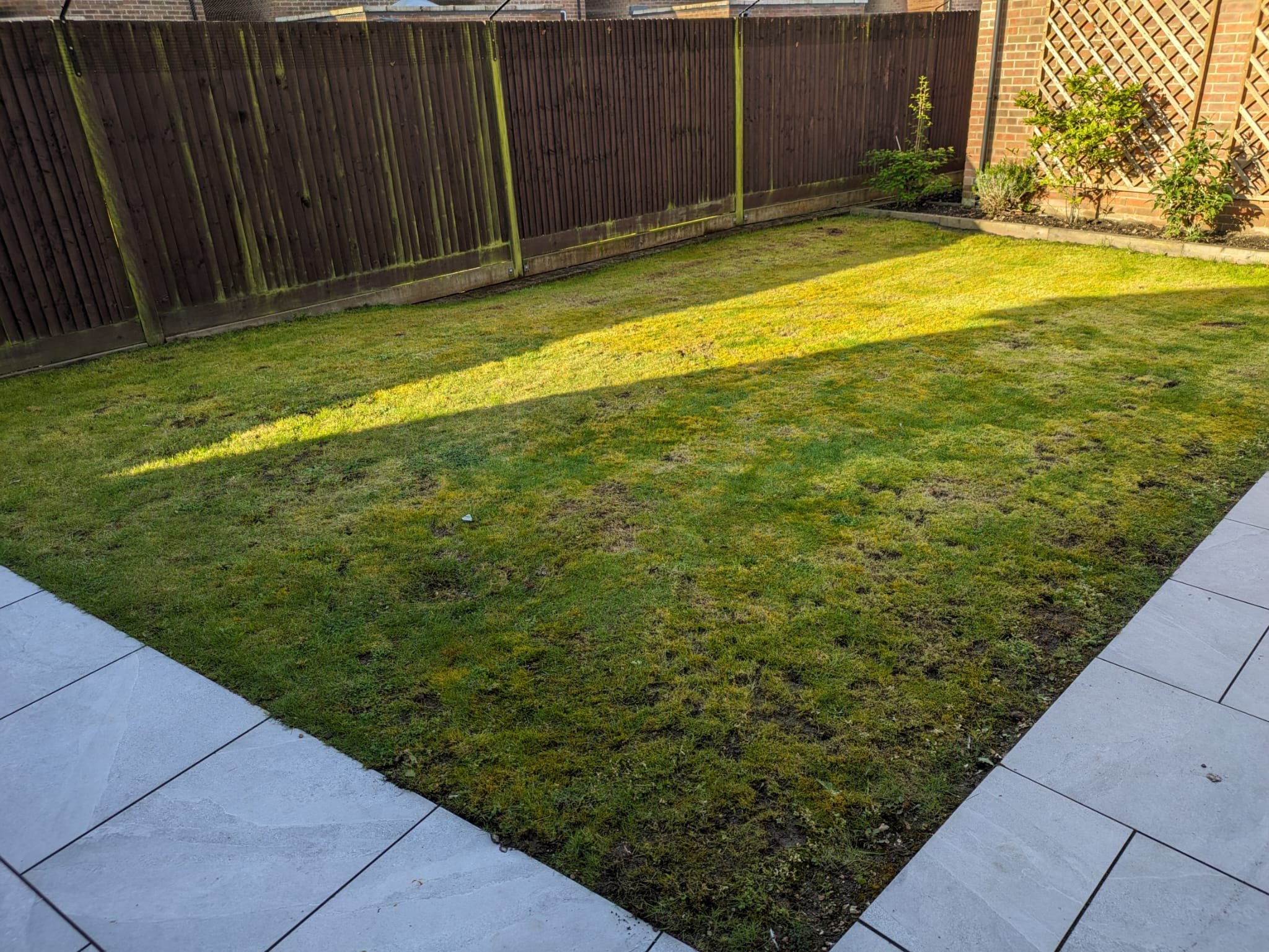 The existing lawn offered a whole array of challenges. Not only was it packed with moss and weeds due to poor drainage, we also found various infestations.