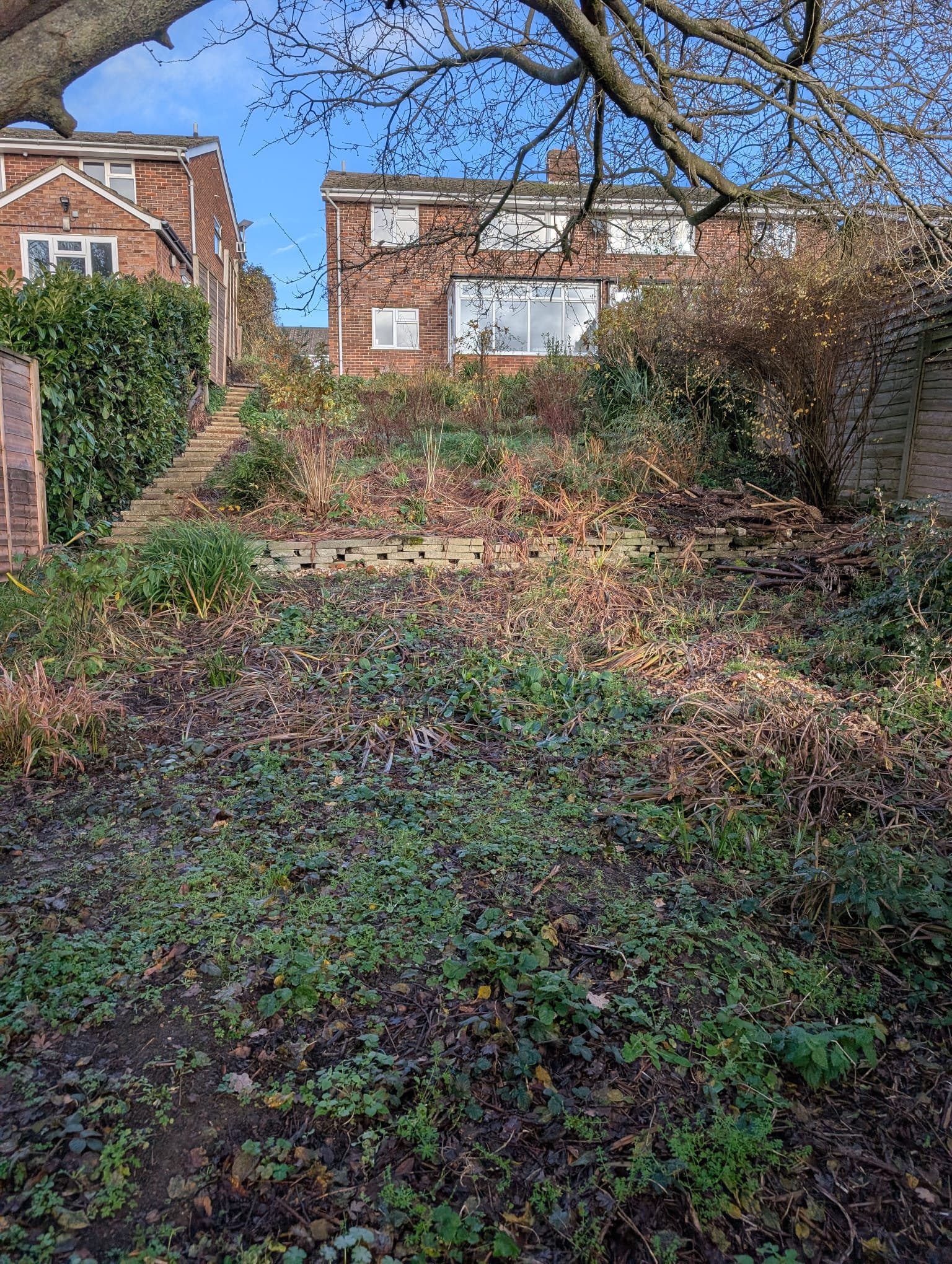 The starting point was a garden that had been overtaken by years of unmanaged growth. Former lawn areas were lost beneath weeds and self-seeded plants, levels were uneven, and the space had become difficult to navigate. While there was clear potentia