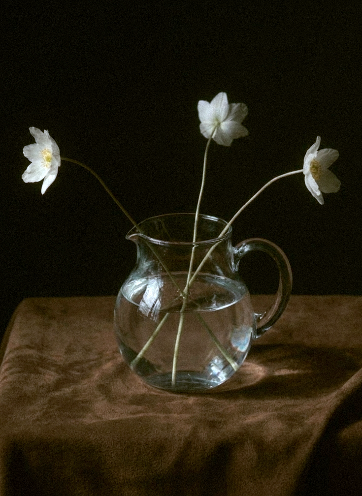 still life flower colored 2.png