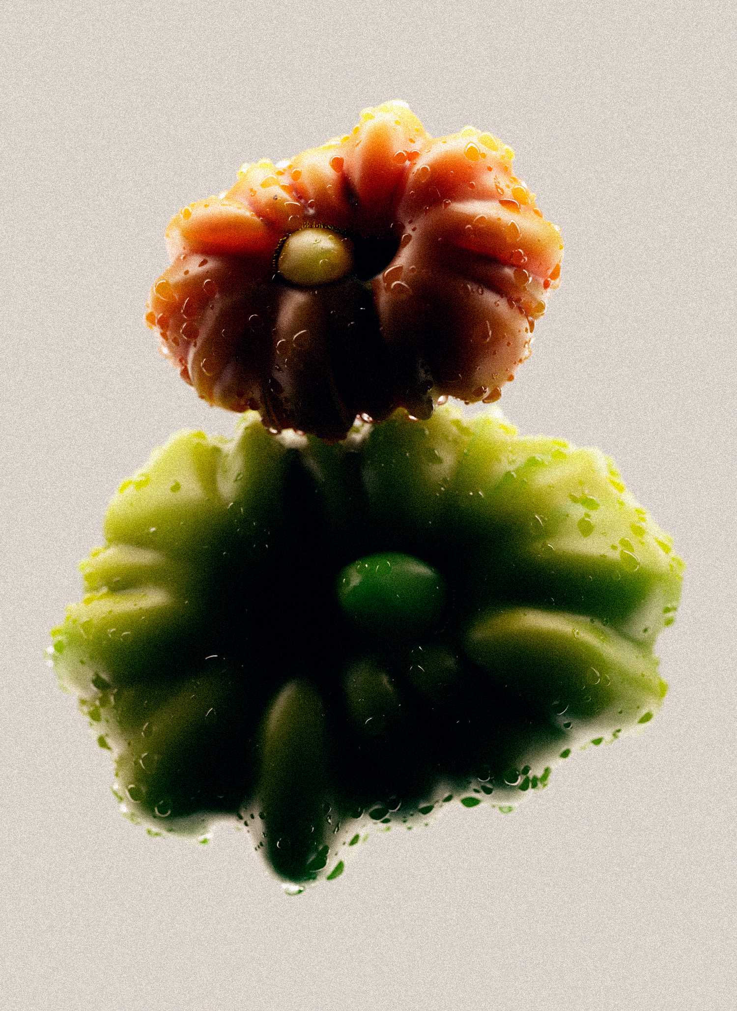 Still Life Tomato PS 2.png