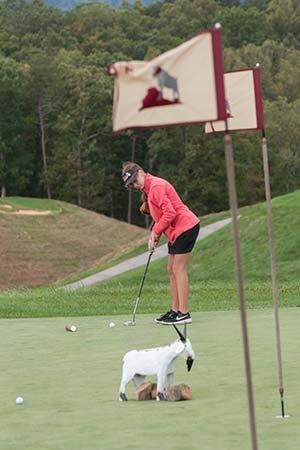 ballyhack gg putting.jpg