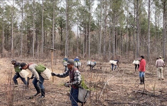 RF13675_Sandhills Prescribed Burn Association_Hoke Community Forest_NC_2022(1).jpeg