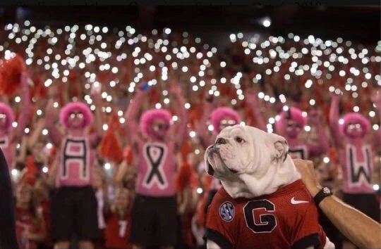 Supporting Bulldogs Battling Breast Cancer’s Life-Saving Mission&nbsp;