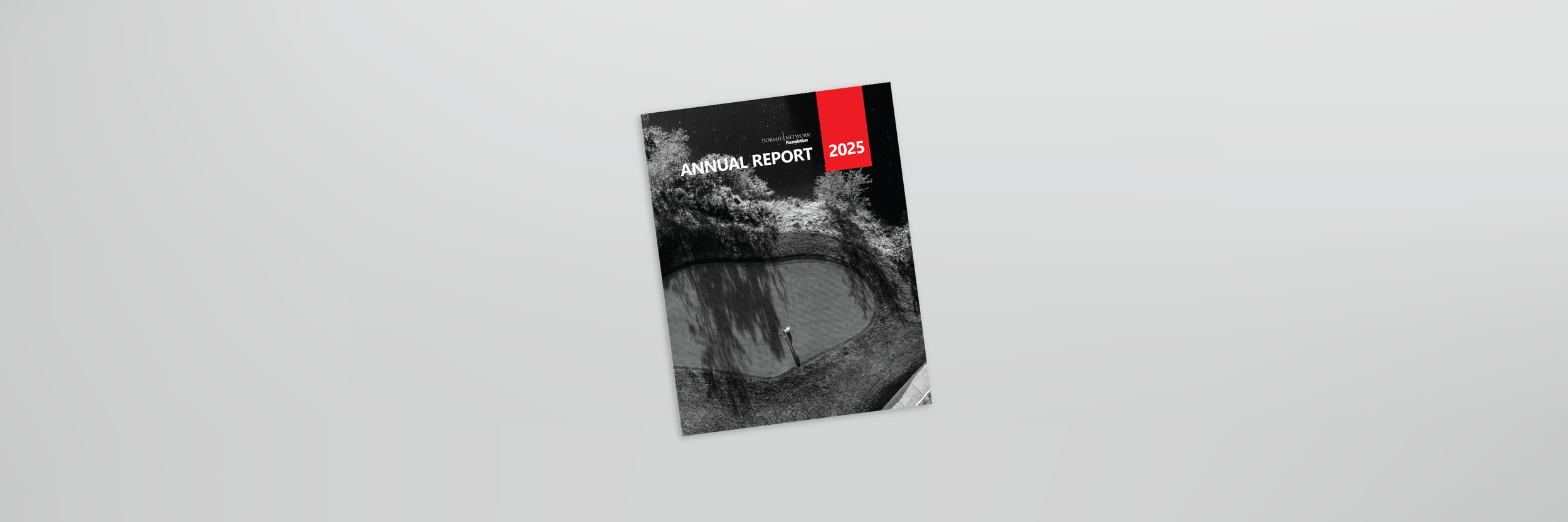 Dormie Network Foundation 2025 annual report