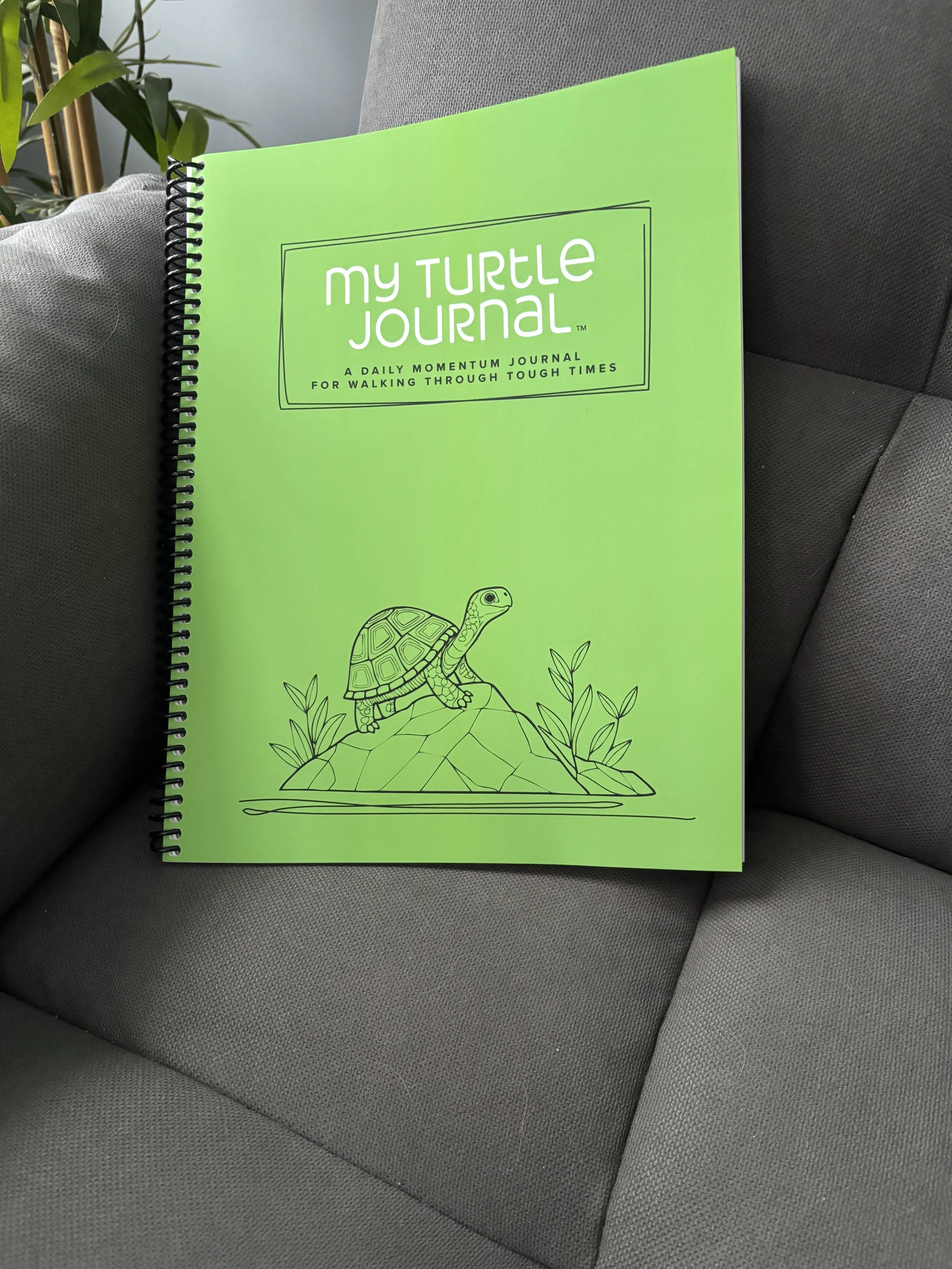 Book Launch Party for My Turtle Journal