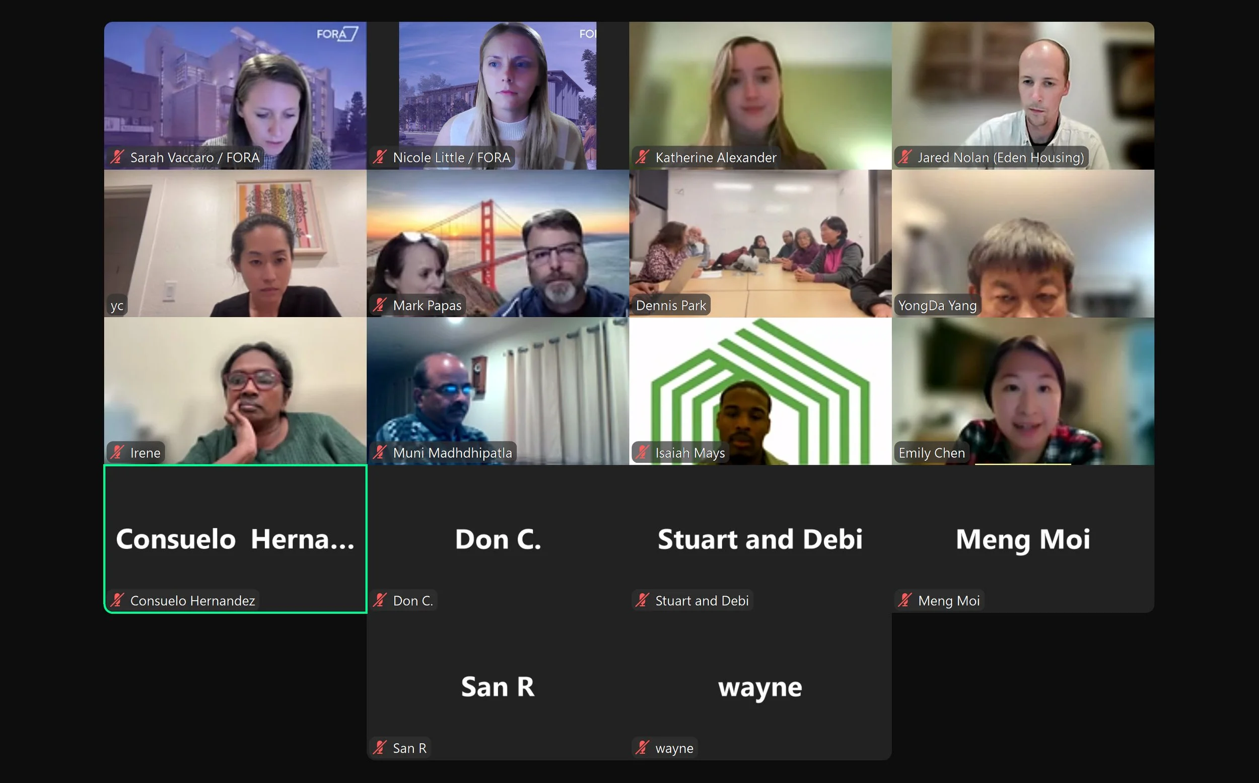C5 - Virtual Neighbor Meeting.jpg