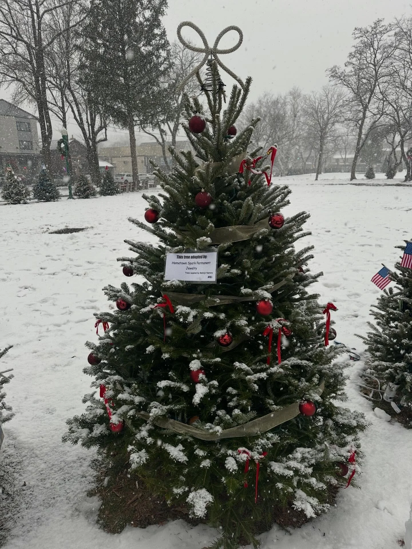 A little sparkle for the place that gives us so much 🤍🎄 Community first, always.