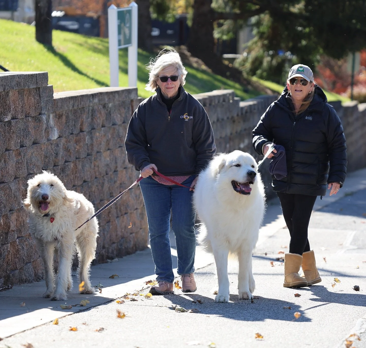 Mrs. Forbes &amp; Mrs. Isaacs on their morning dog stroll around campus.