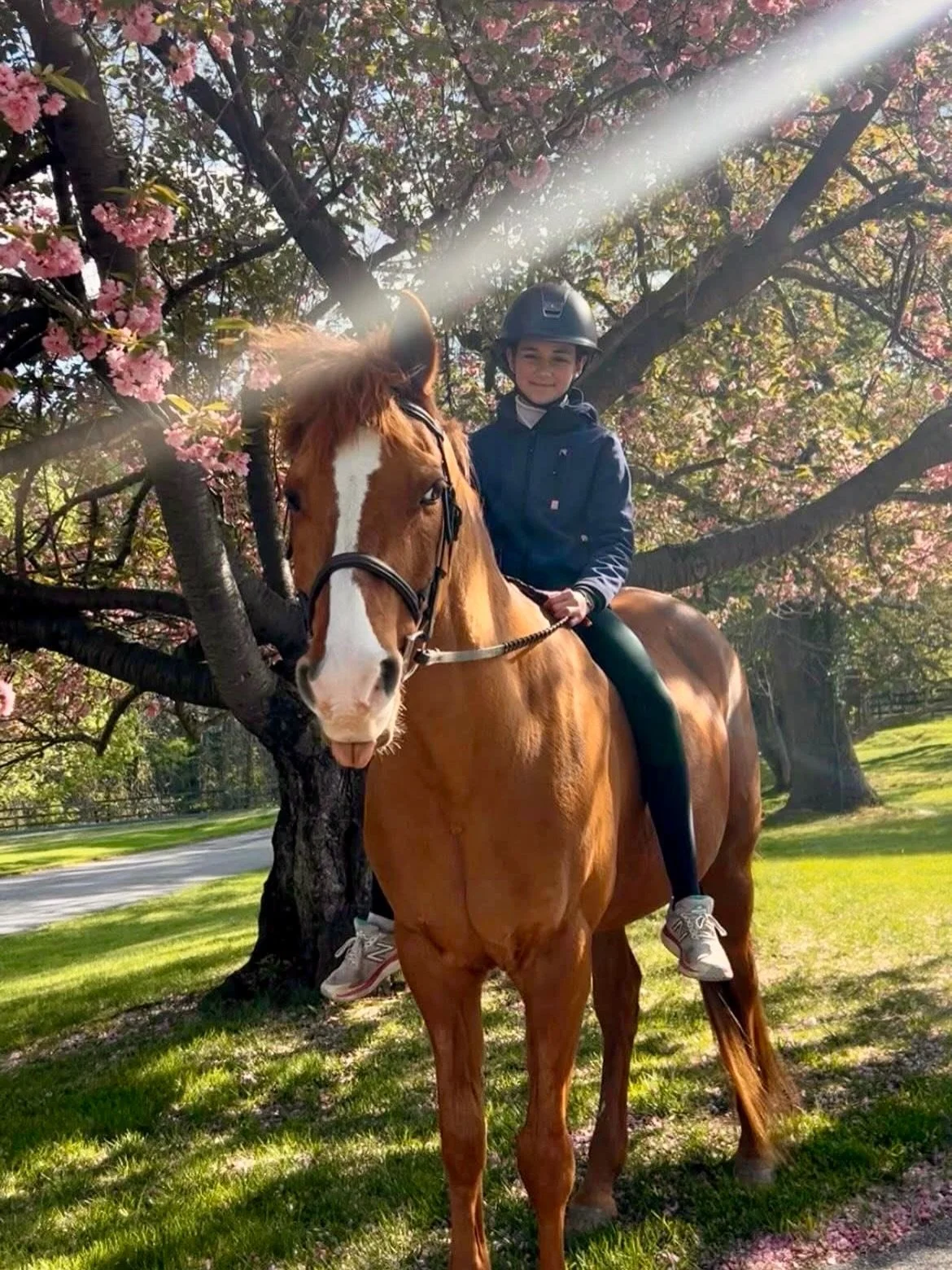Spring🐴 vibes on campus 🩷 

@oldfieldsriding