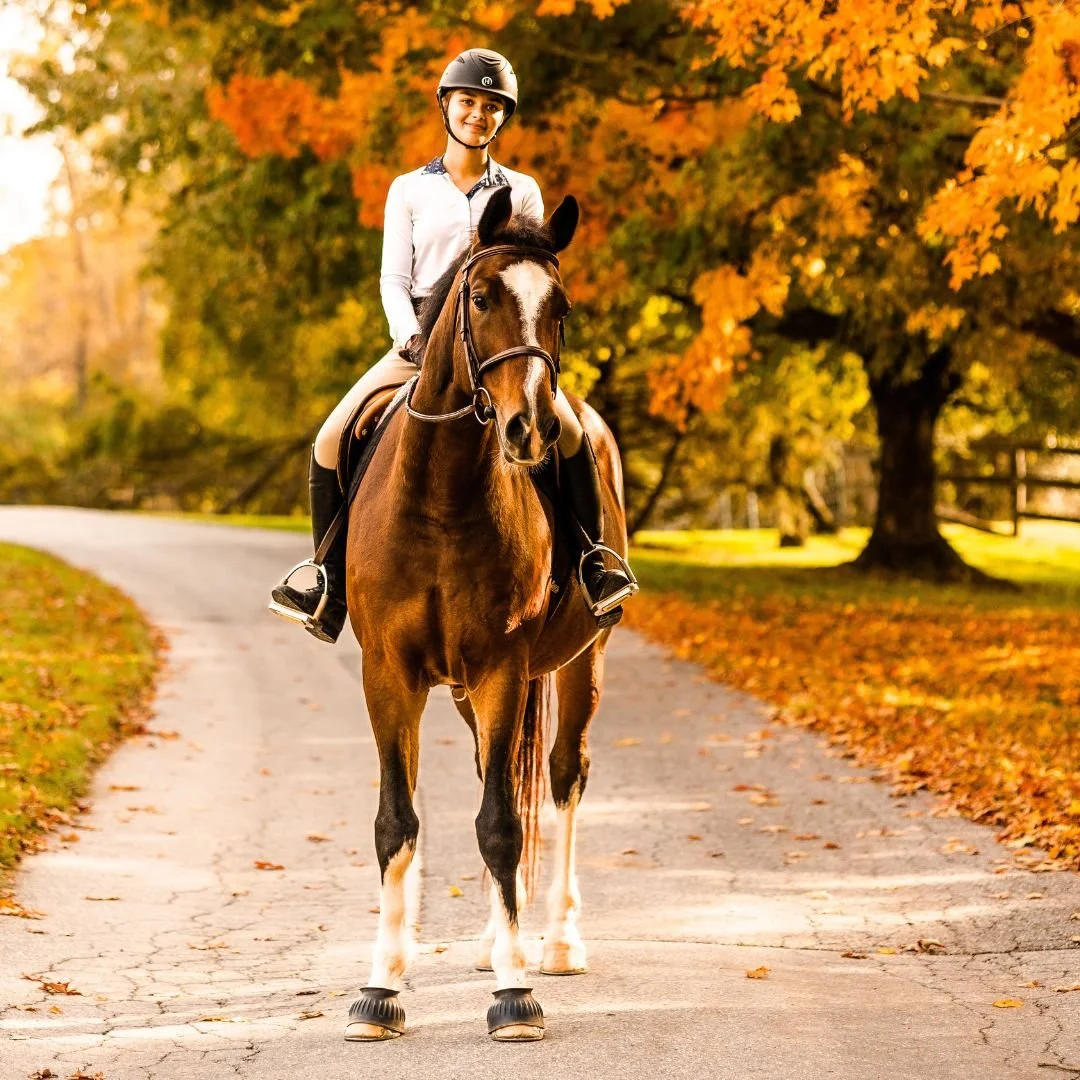 Untitled design (2).jpg