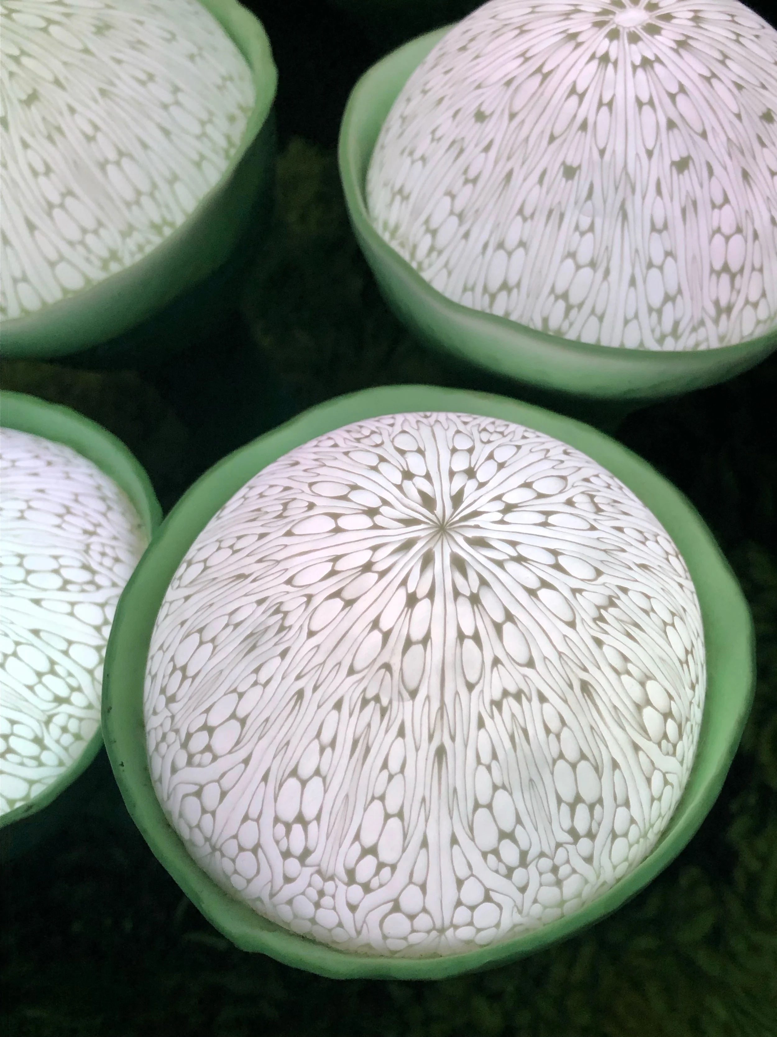 2 MF lichen w white tops.jpg