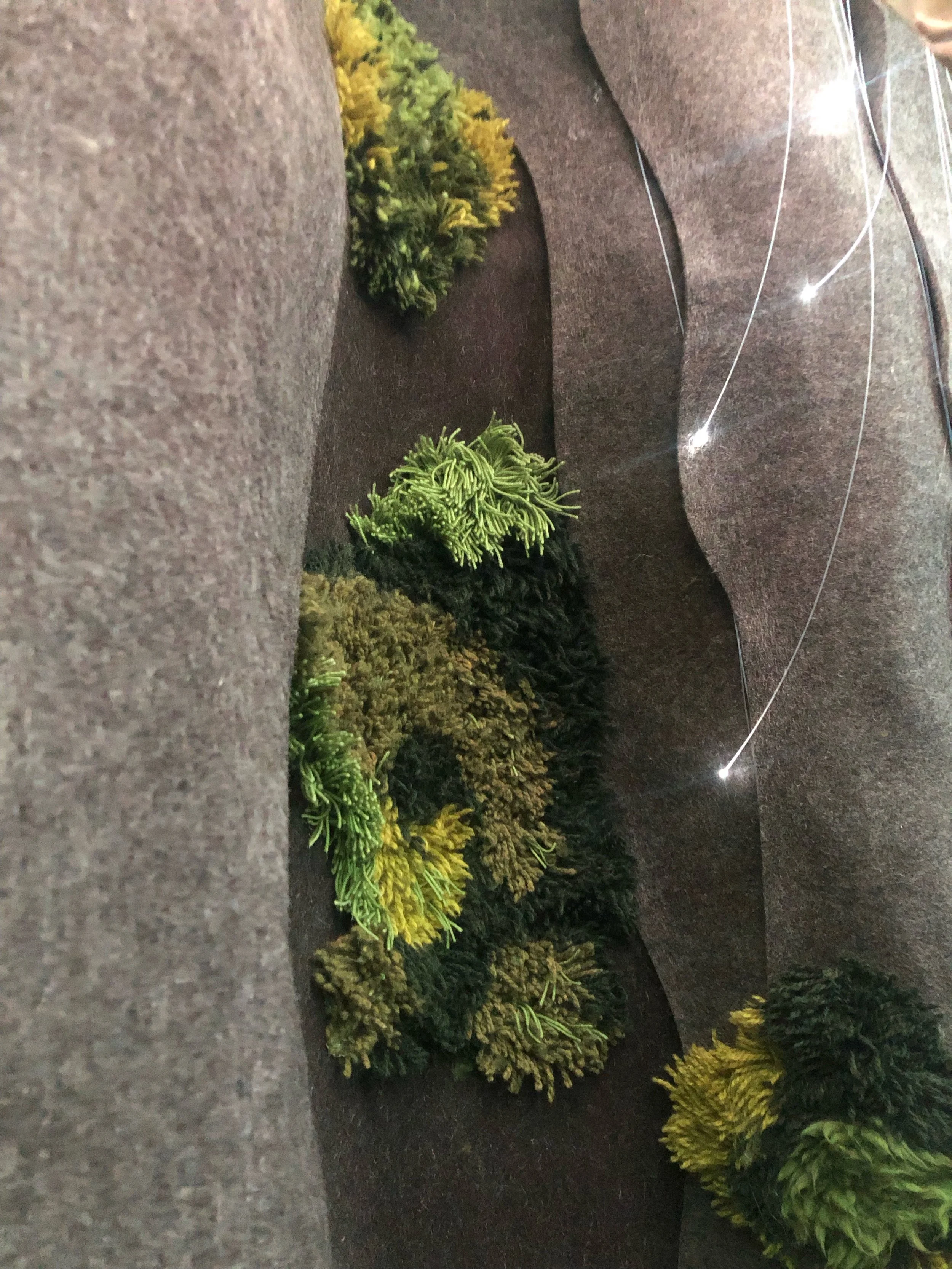 2 MF moss closeup.jpg