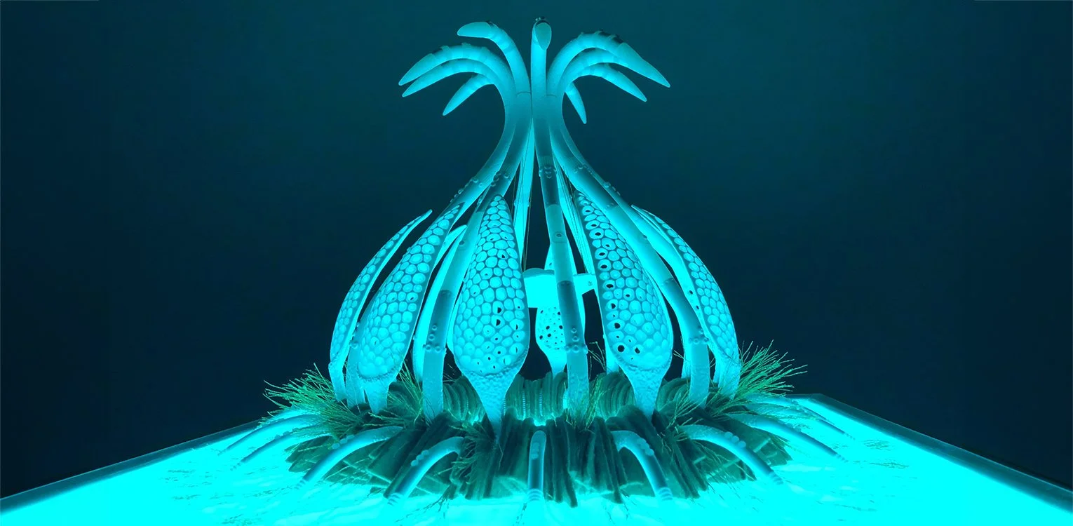 headpiece for homepage.jpg