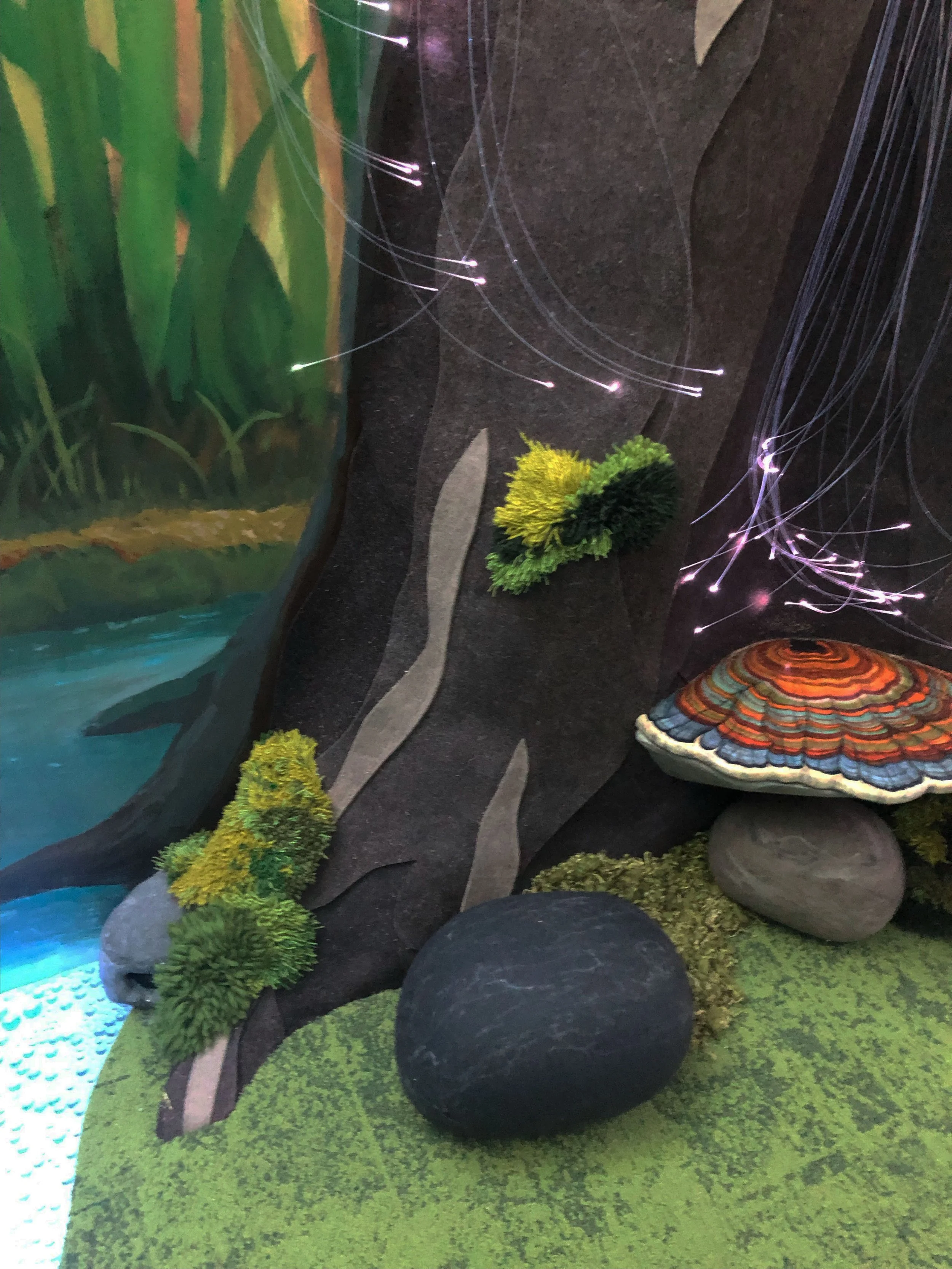 2 MF tree root and shelf mushroom.jpg