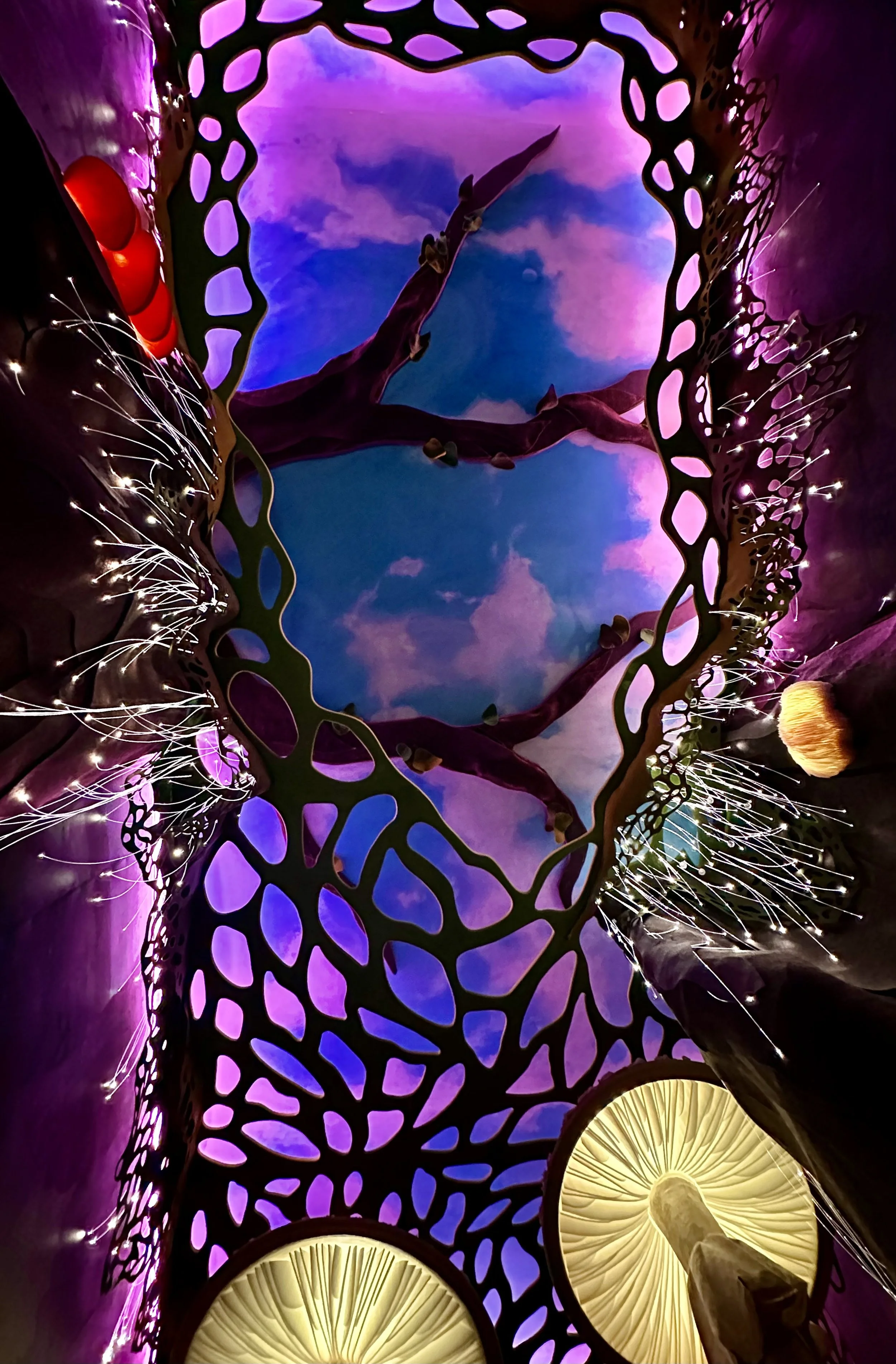 2 MF full ceiling dusk.jpeg