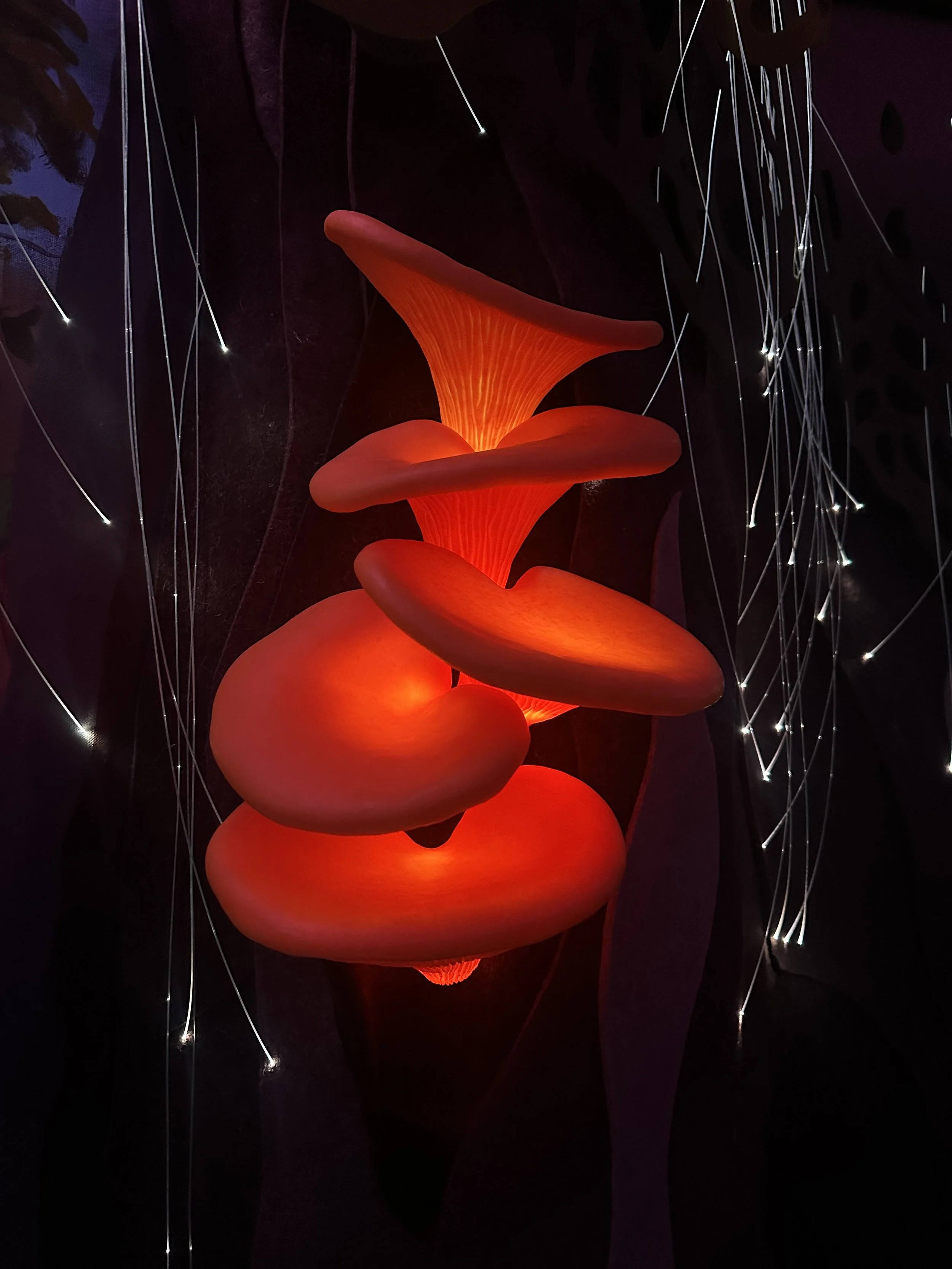 2 MF orange mushrooms.jpeg