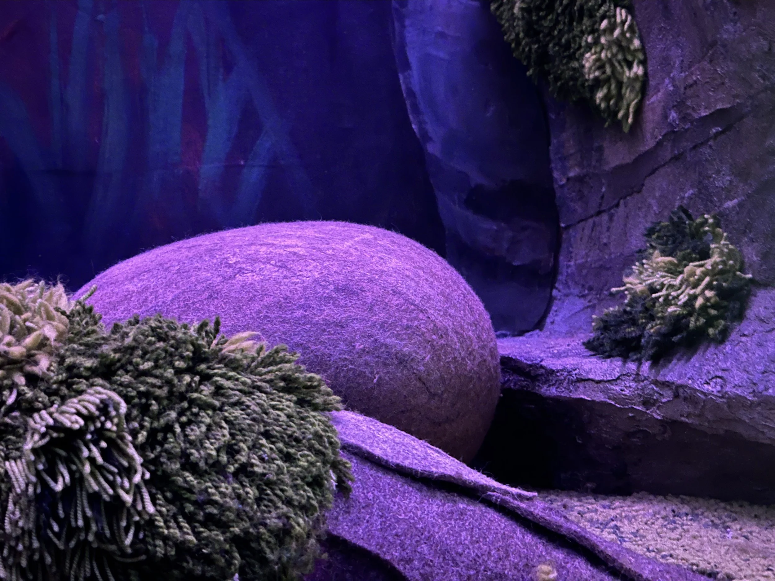 2 MF close up rock.jpeg