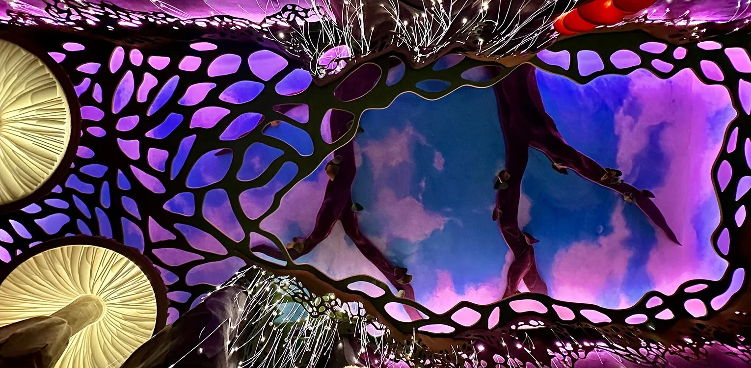 MF ceiling for homepage.jpg