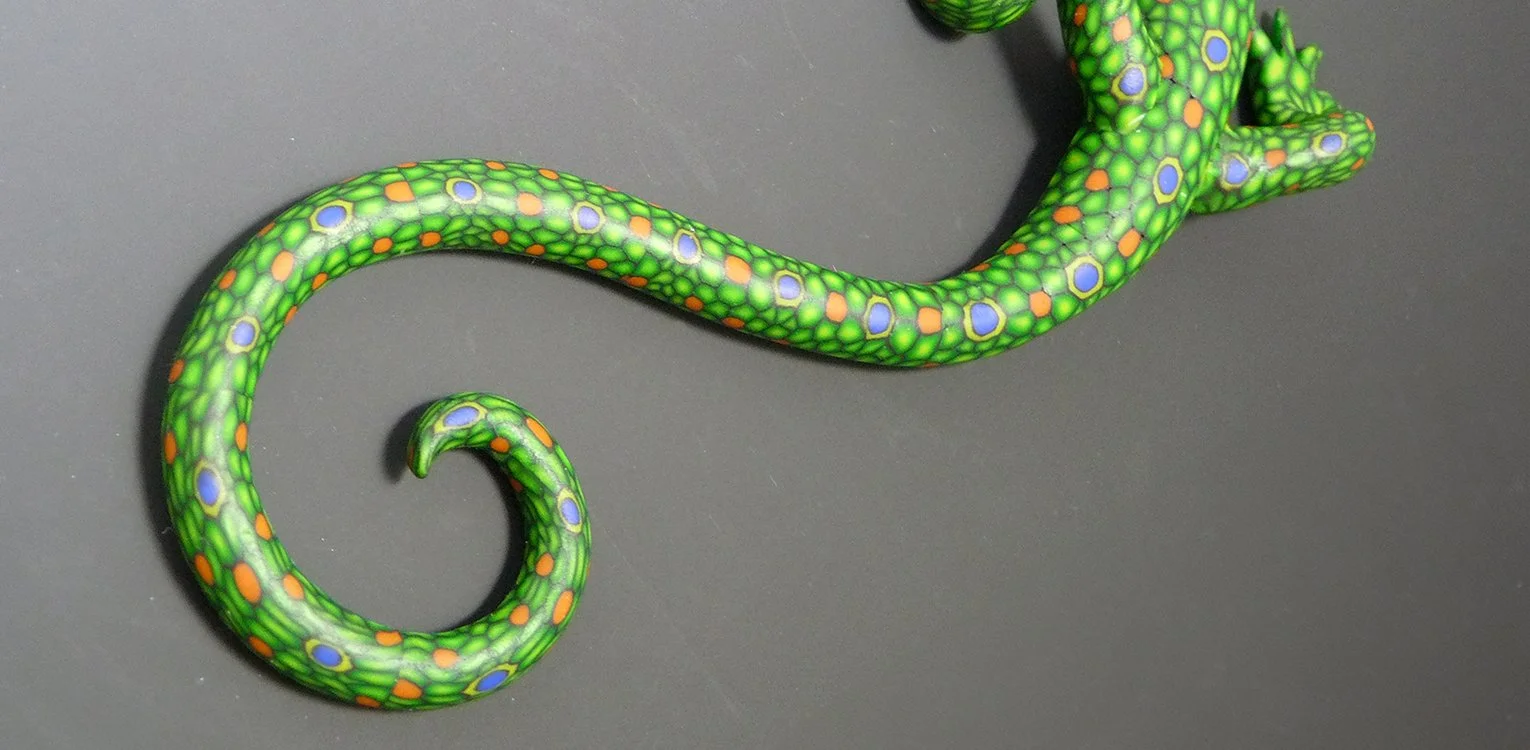 lizzard tail for homepage.jpg