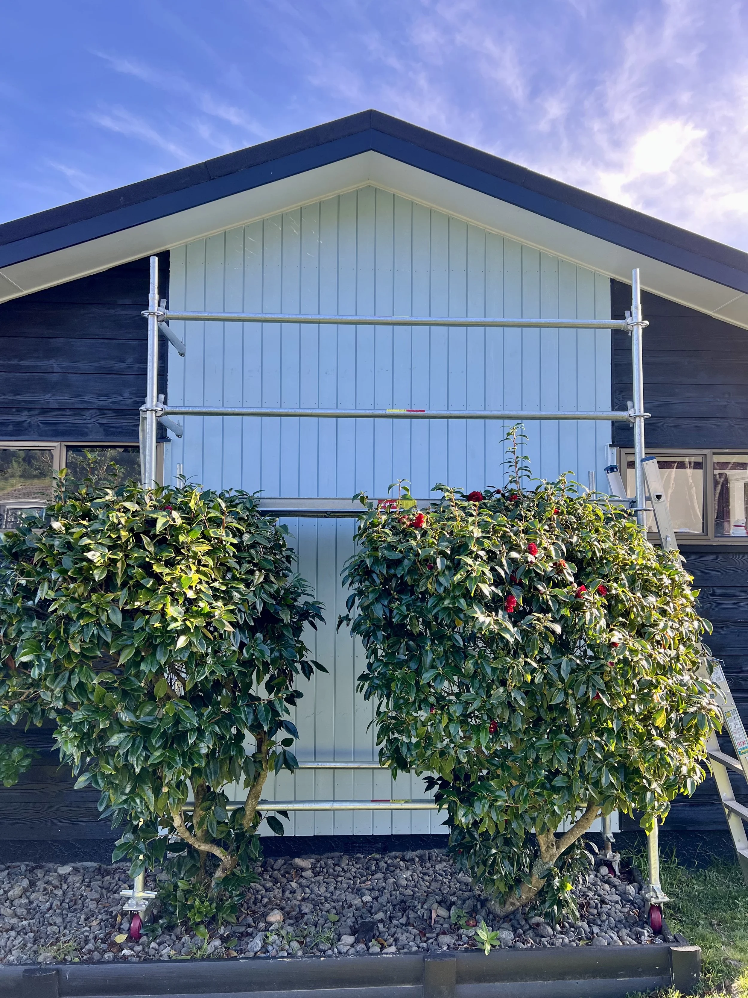 Newly replaced vertical shiplap timber weatherboards