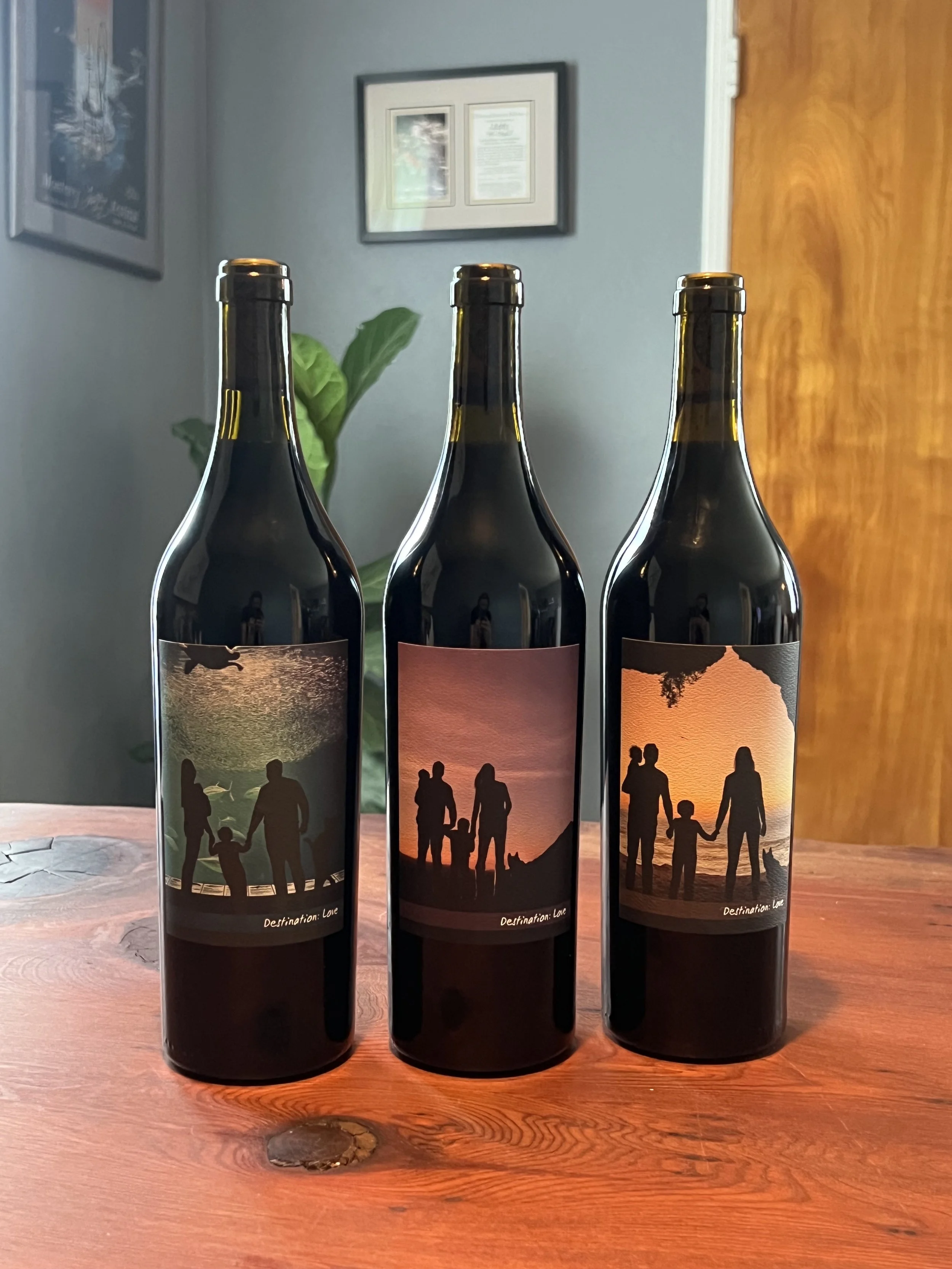 3 Pack Destination: Love