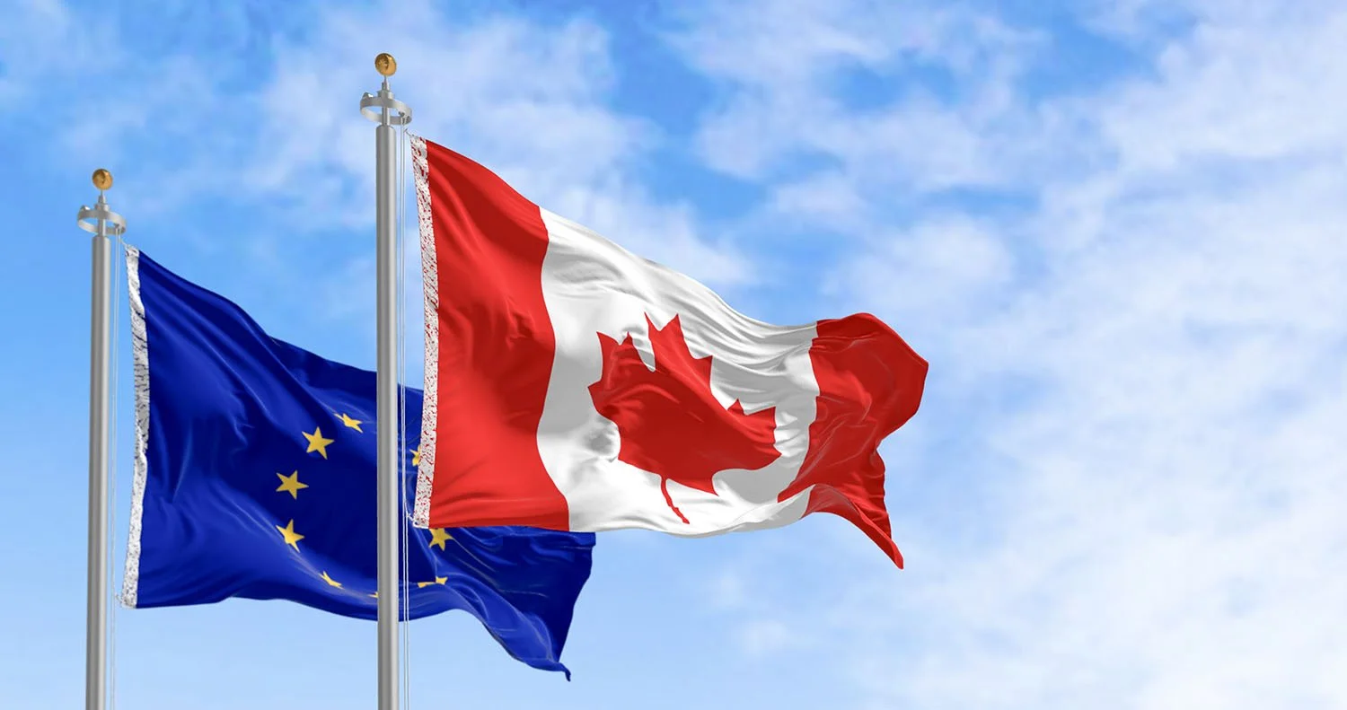 Effective trade diversification depends on small and medium businesses