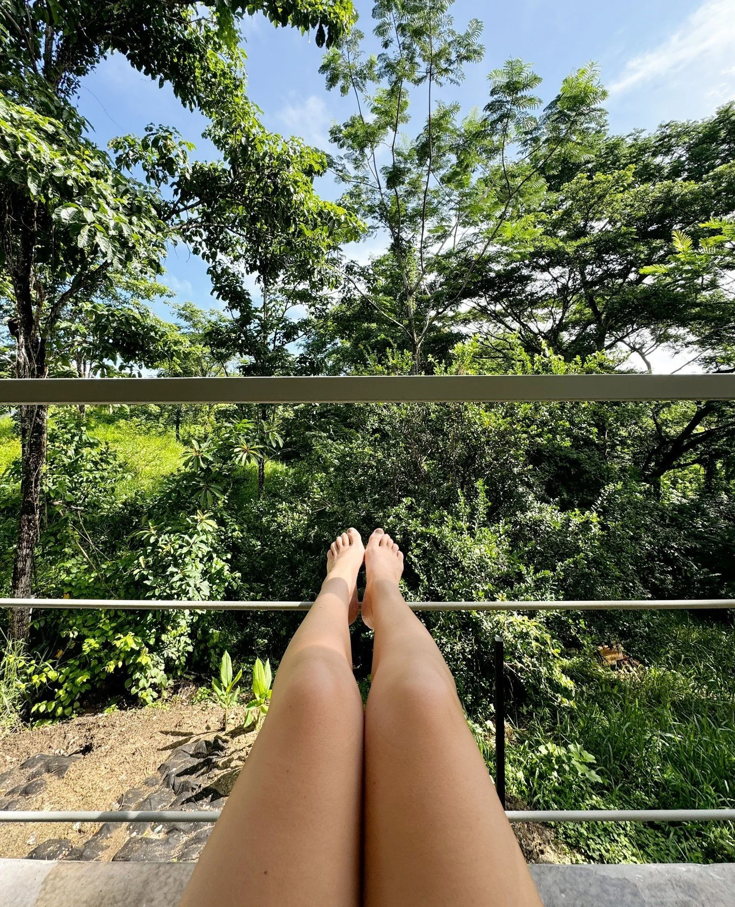 Best morning coffee view ever ☕️🌴🦜⁠