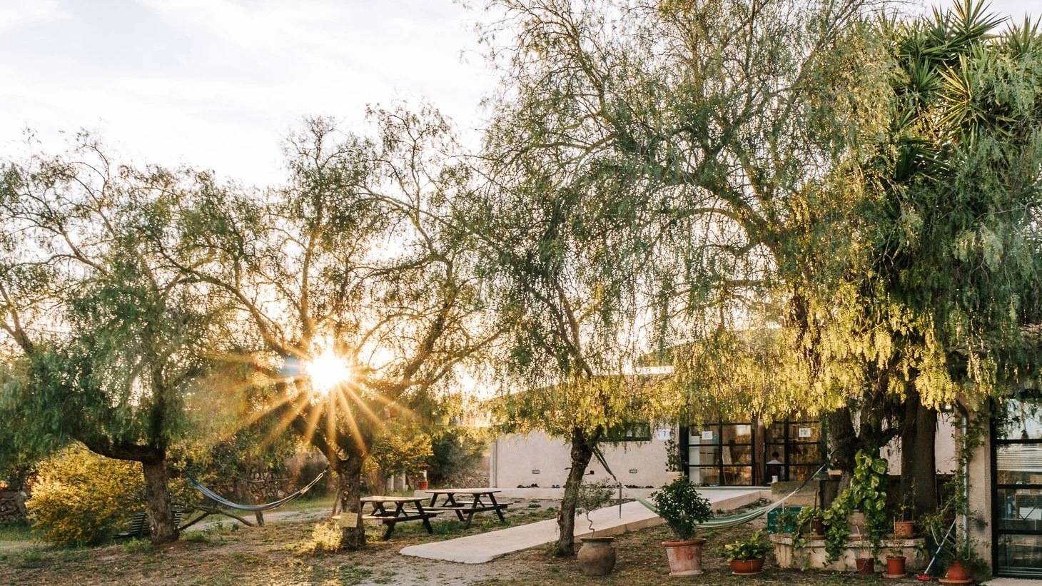Der Sonnenuntergang scheint durch Bäume in einem Garten mit Picknicktischen und Pflanzen vor einem Haus.