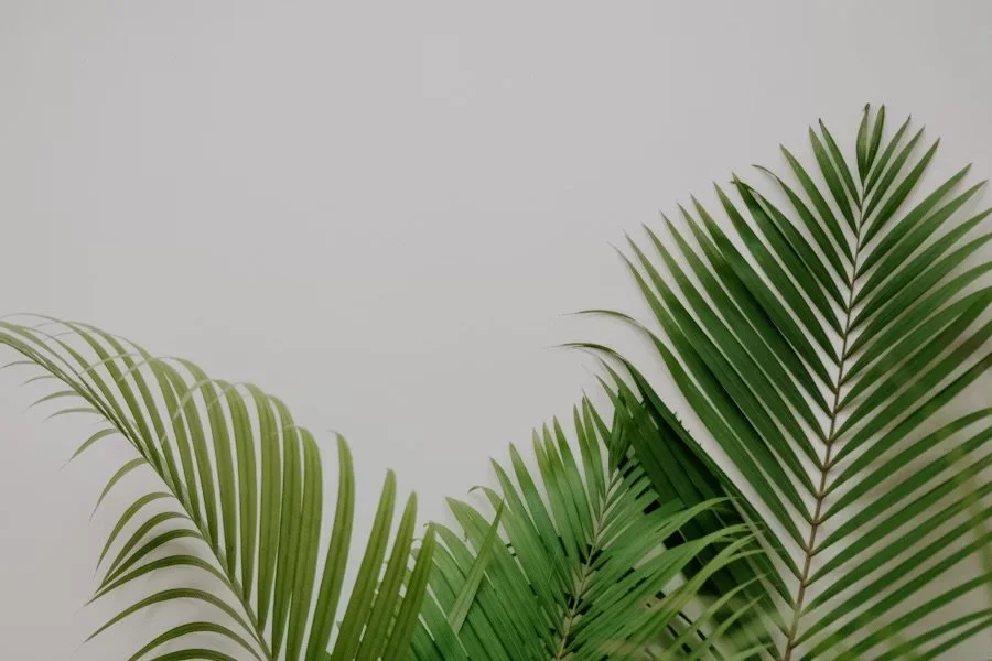 The Simple Science Behind Nervous System Regulation