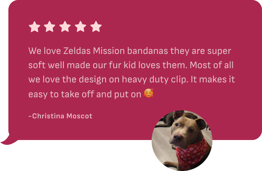 5 Star Customer review - Zelda's Mission