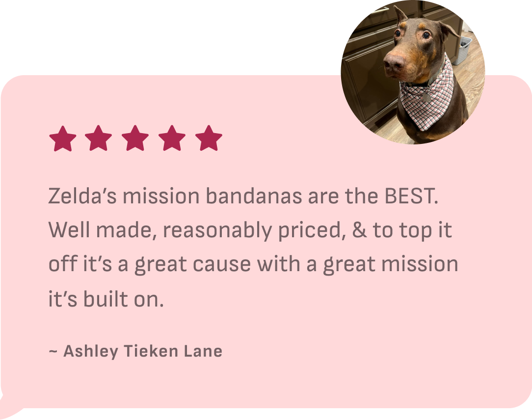5 Star Customer review - Zelda's Mission