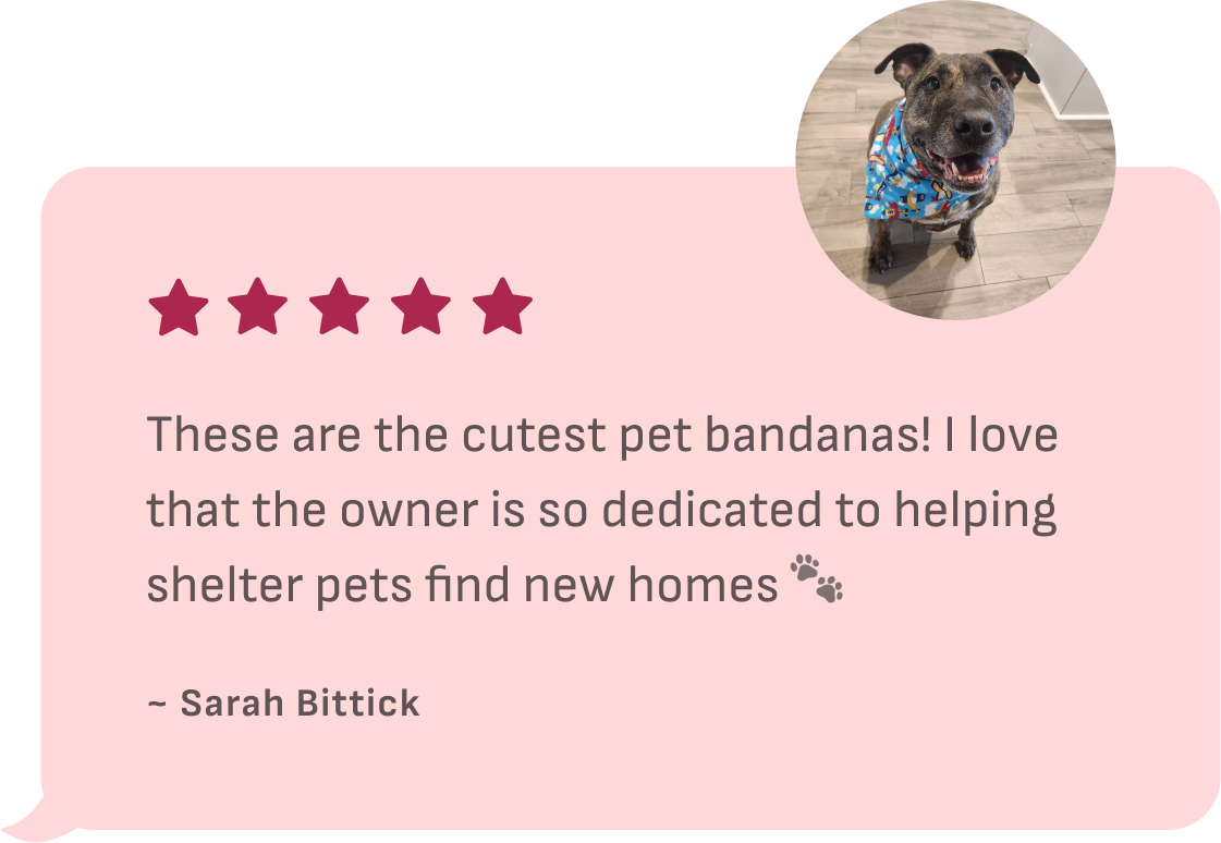 5 Star Customer review - Zelda's Mission