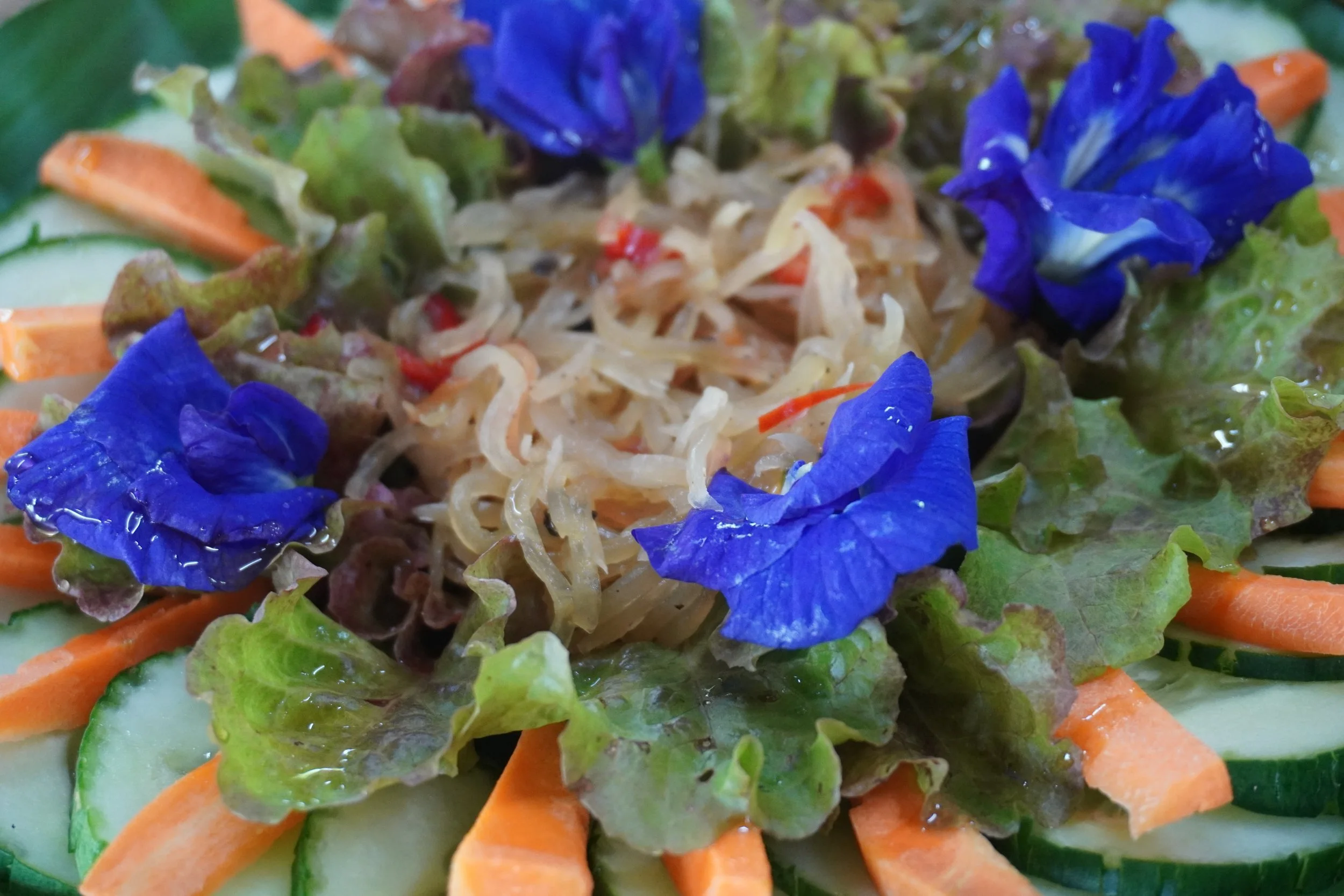 Siargao and the Cost of Paradise