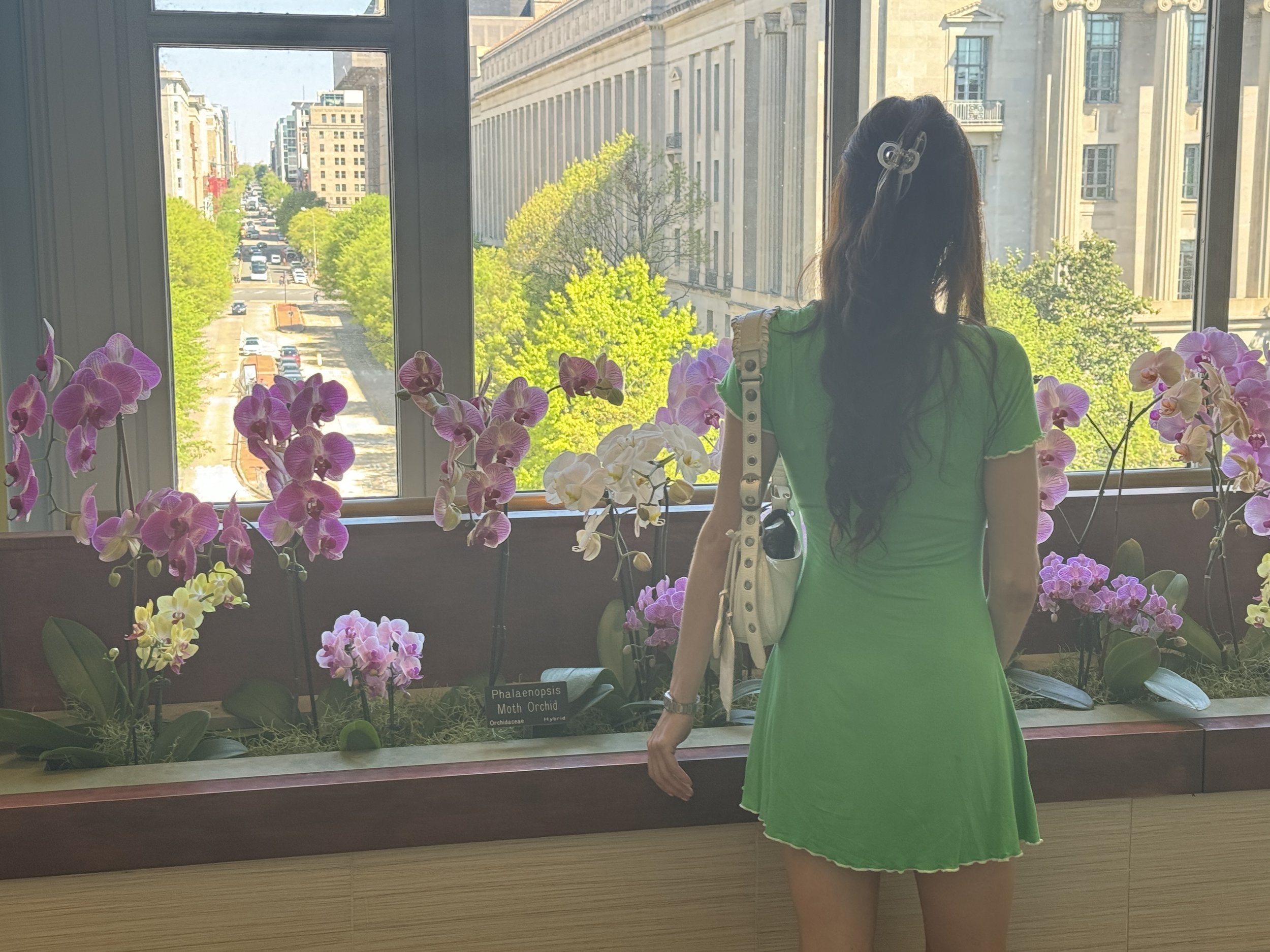 Callie Taylor Escort Chicago & DC