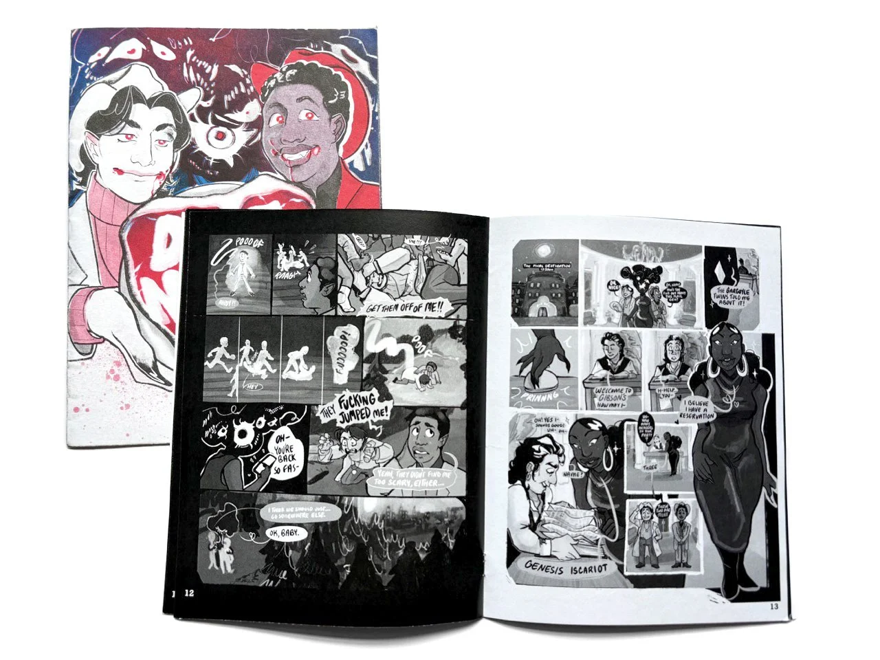 DN Book w Spread.jpg