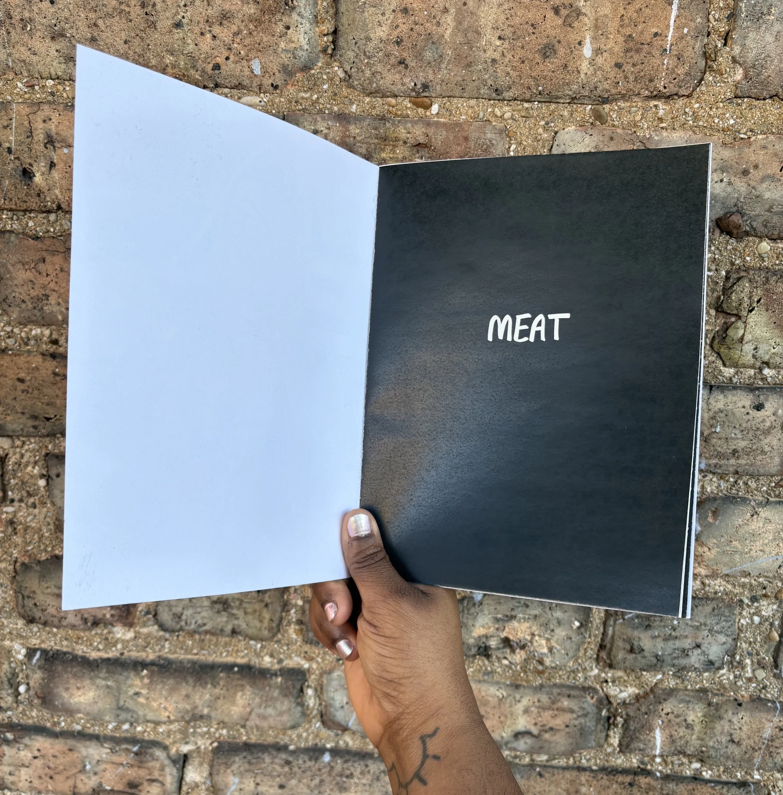 MEAT Book Title Card.jpeg