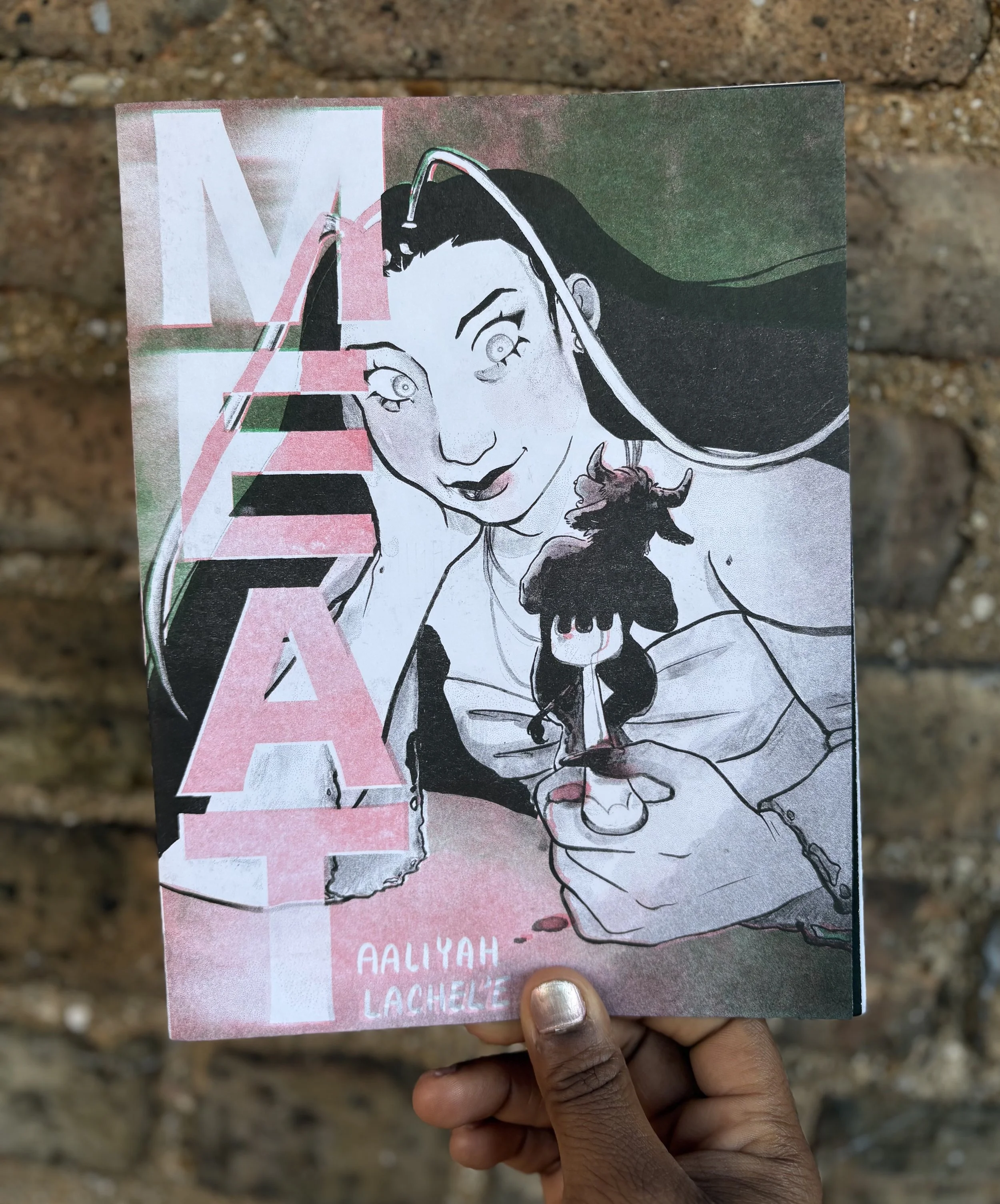 MEAT Book front.jpeg