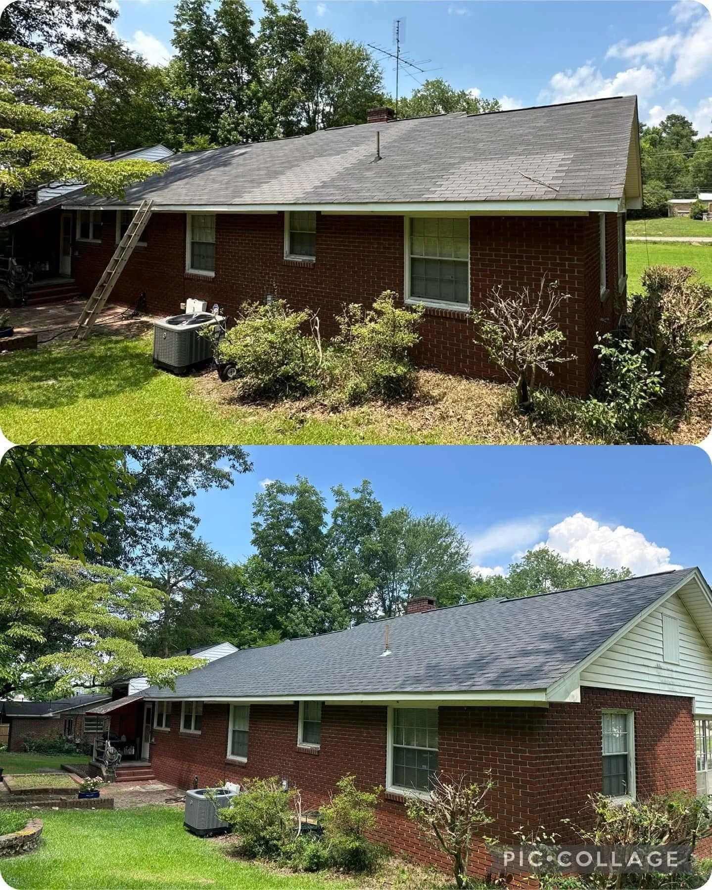 roof combo #2.jpg
